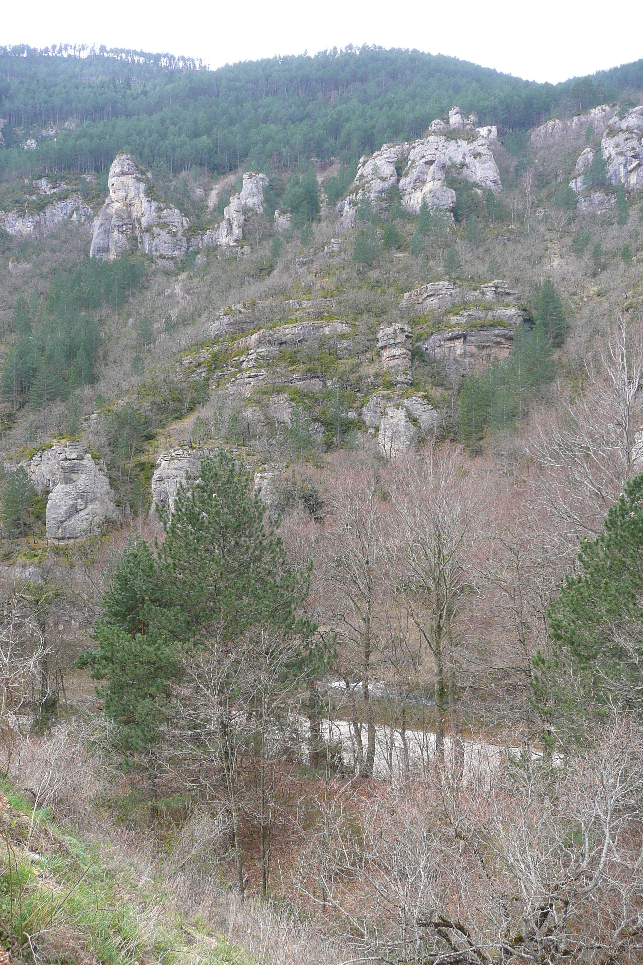 รูปถ่าย ฝรั่งเศส(France) แม่น้ำตาร์น(Tarn river) 2008-04 6