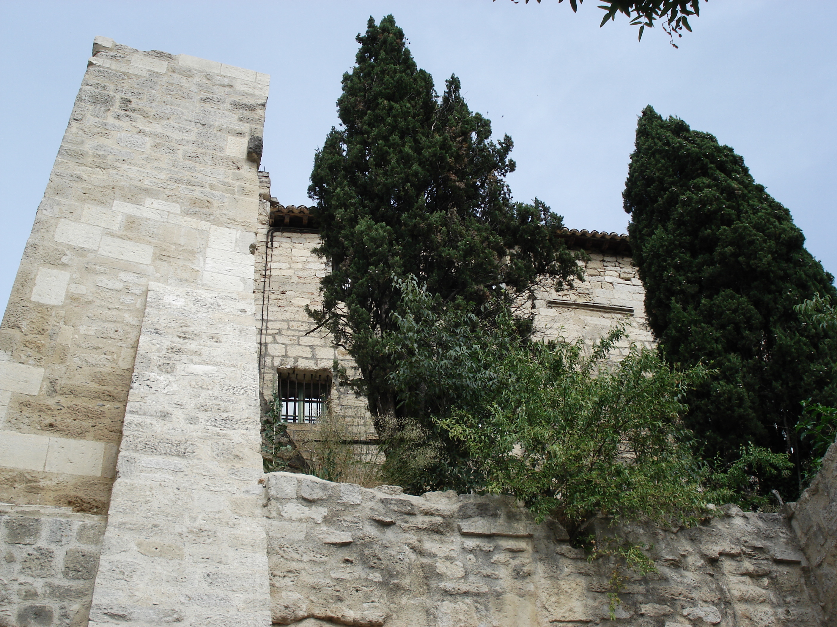 รูปถ่าย ฝรั่งเศส(France) โซเมียร์(Sommieres) 2006-06 48