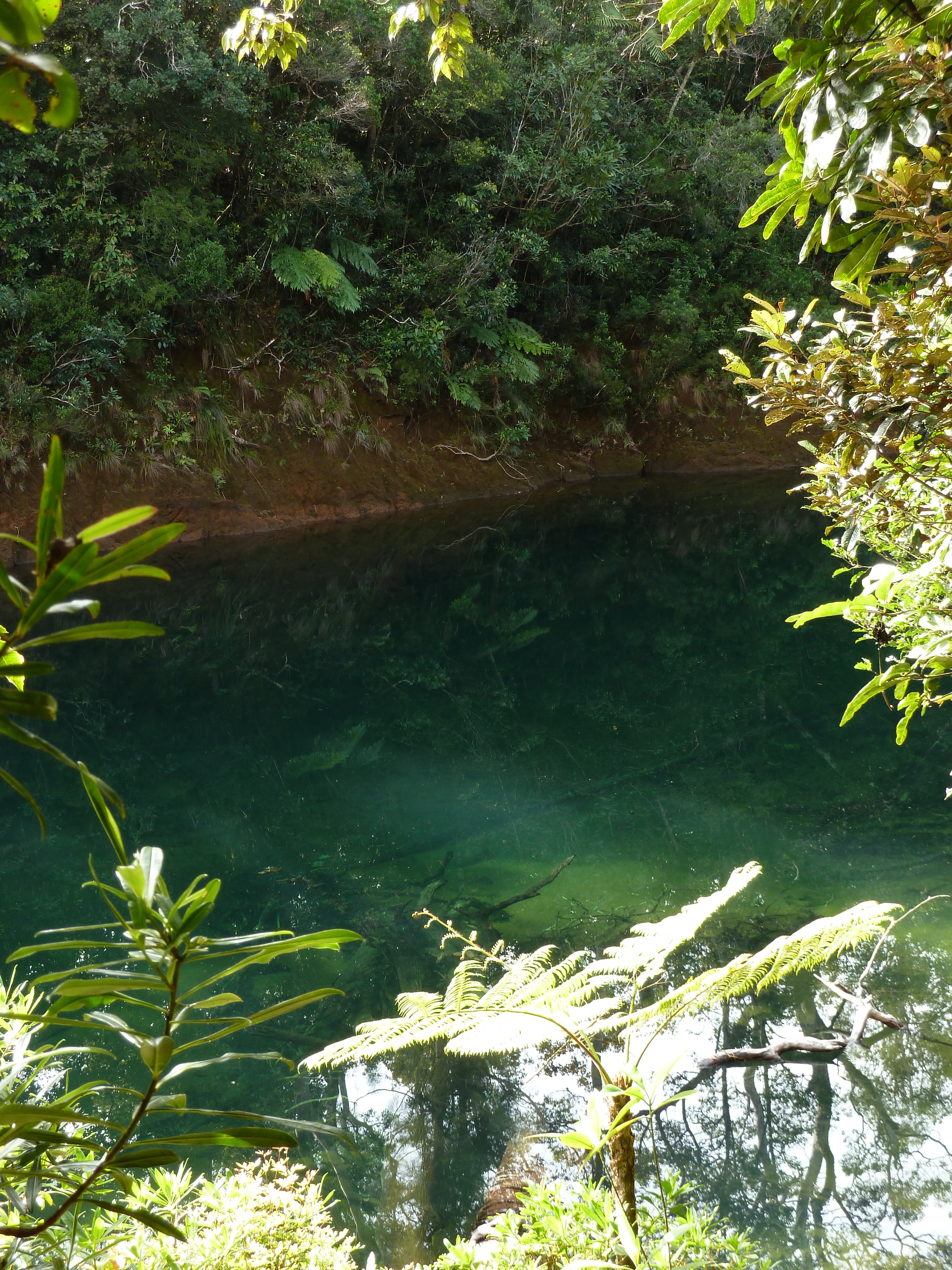 รูปถ่าย นิวแคลิโดเนีย(New Caledonia) อุทยานริเวียร์เบลอ(Parc de la Riviere Bleue) โรงแรมเลอกร็องกาโอรี(Le Grand Kaori) 2010-05 12