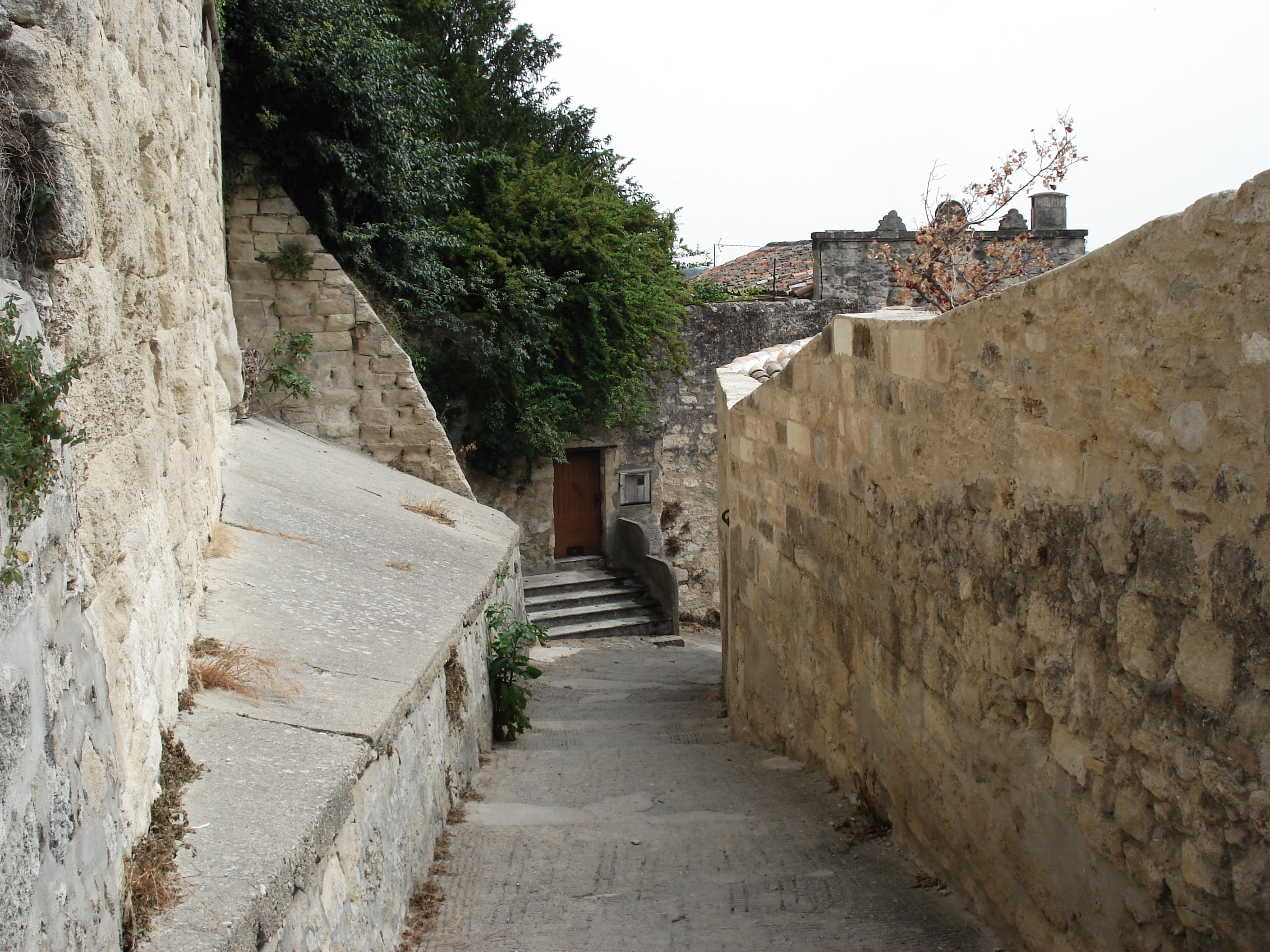 รูปถ่าย ฝรั่งเศส(France) โซเมียร์(Sommieres) 2006-06 41