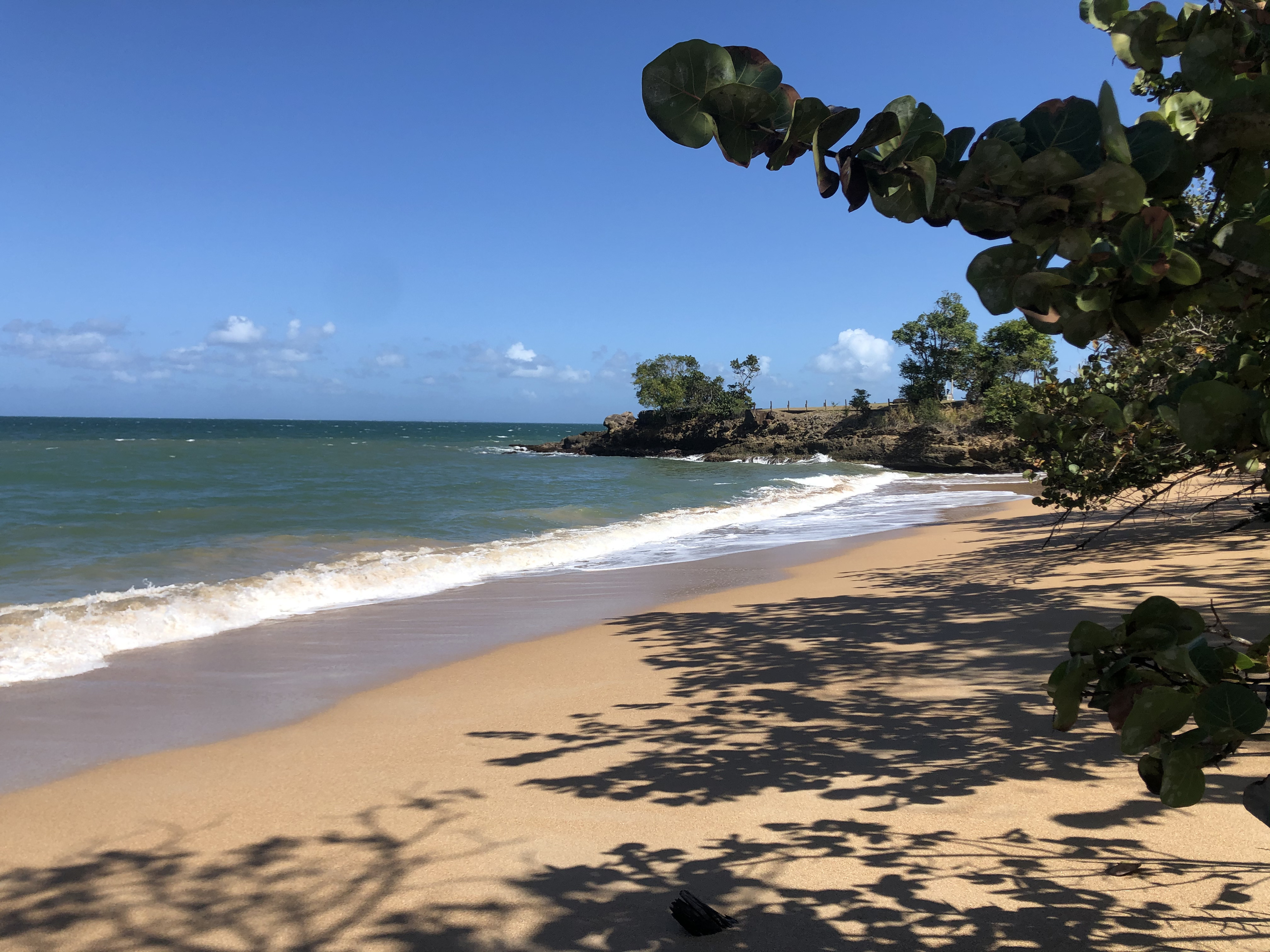 รูปถ่าย กวาเดอลูป(Guadeloupe) แซ็นต์โรส(Sainte Rose) 2021-02 3