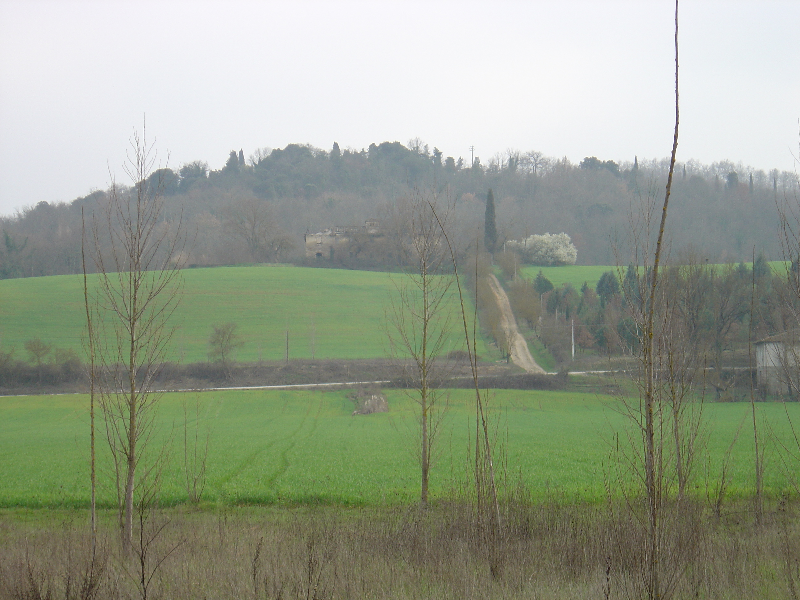 รูปถ่าย อิตาลี(Italy) มงเตอร์ริกกิโอนี(Monteriggioni) 2004-03 15