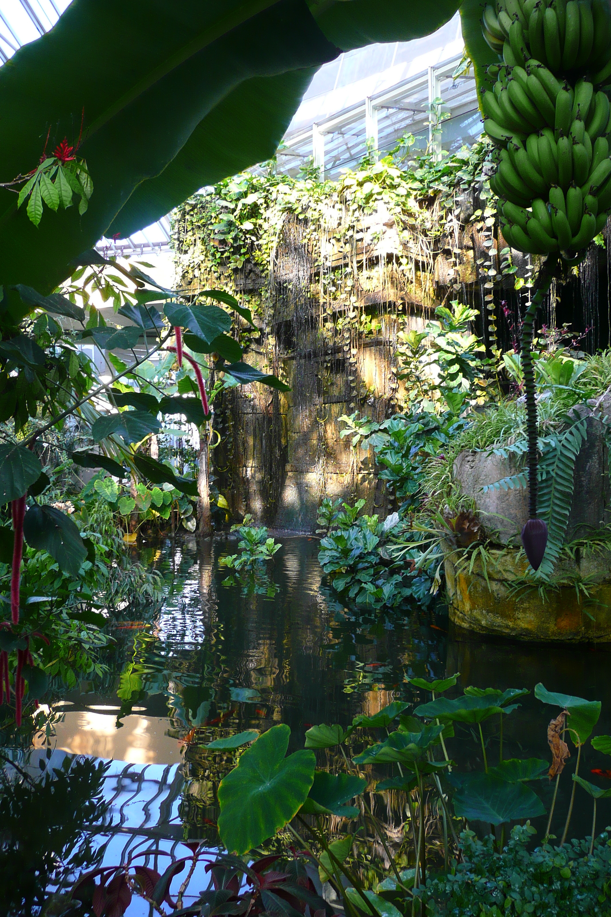 รูปถ่าย ฝรั่งเศส(France) นีส(Nice) สวนฟีนิกซ์(Phoenix Parc) 2007-10 28