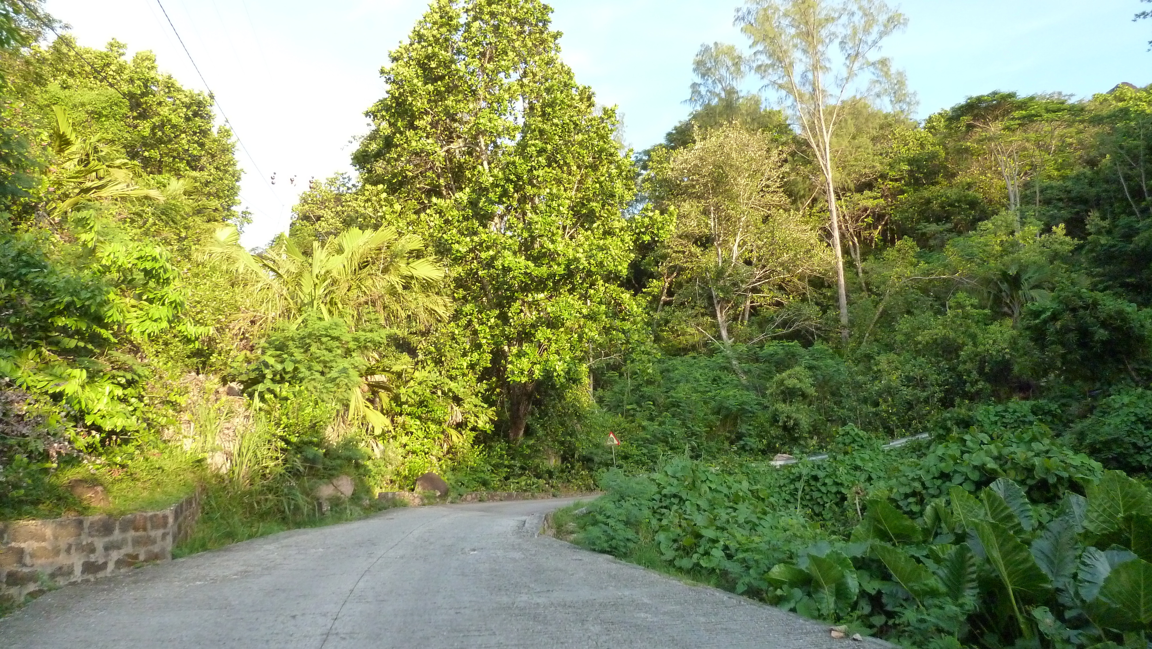 รูปถ่าย เซเชลส์(Seychelles) เกาะปราลิน(Praslin) 2011-10 192