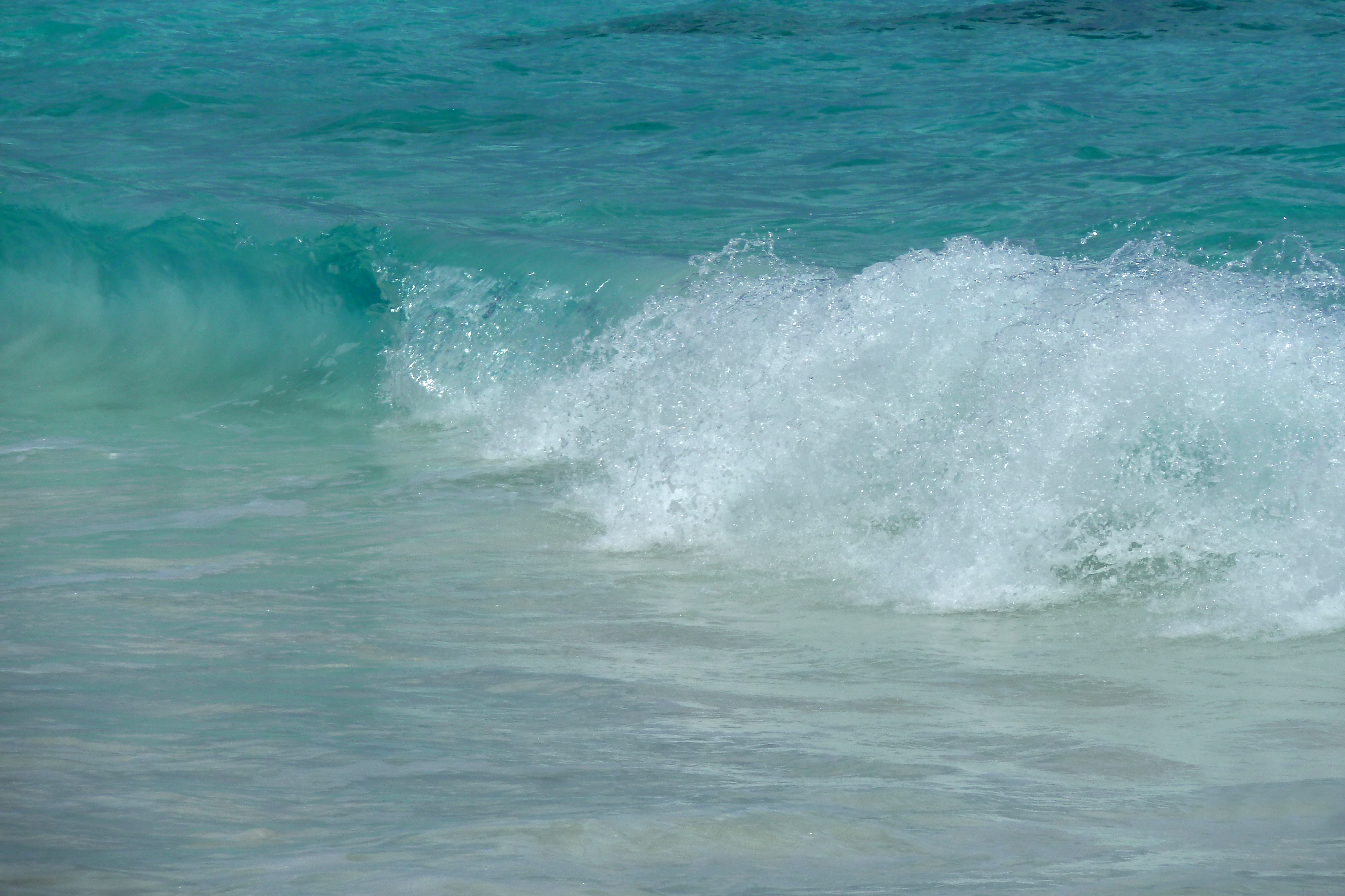 รูปถ่าย เซเชลส์(Seychelles) เกาะกร็องด์เซอร์(Grande Soeur) 2011-10 4