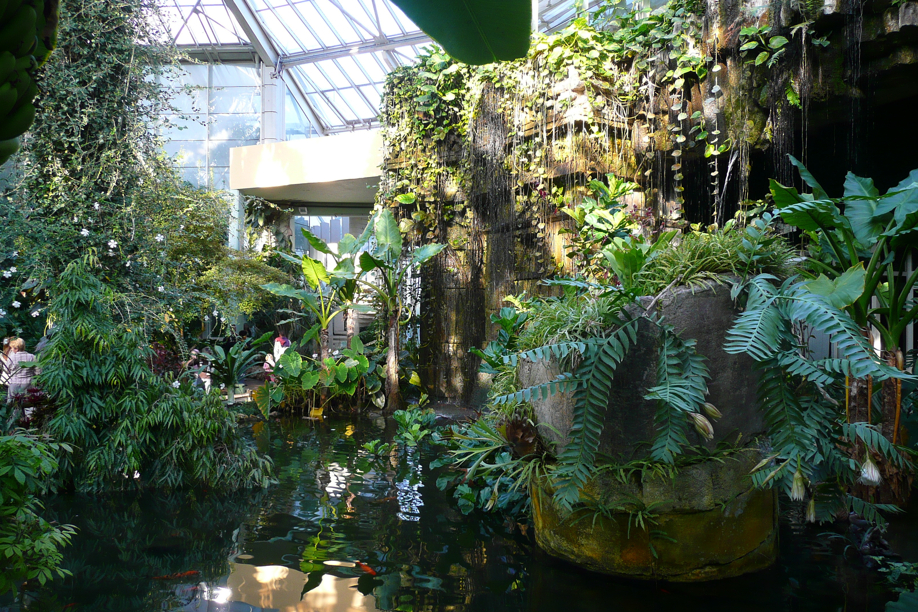 รูปถ่าย ฝรั่งเศส(France) นีส(Nice) สวนฟีนิกซ์(Phoenix Parc) 2007-10 27
