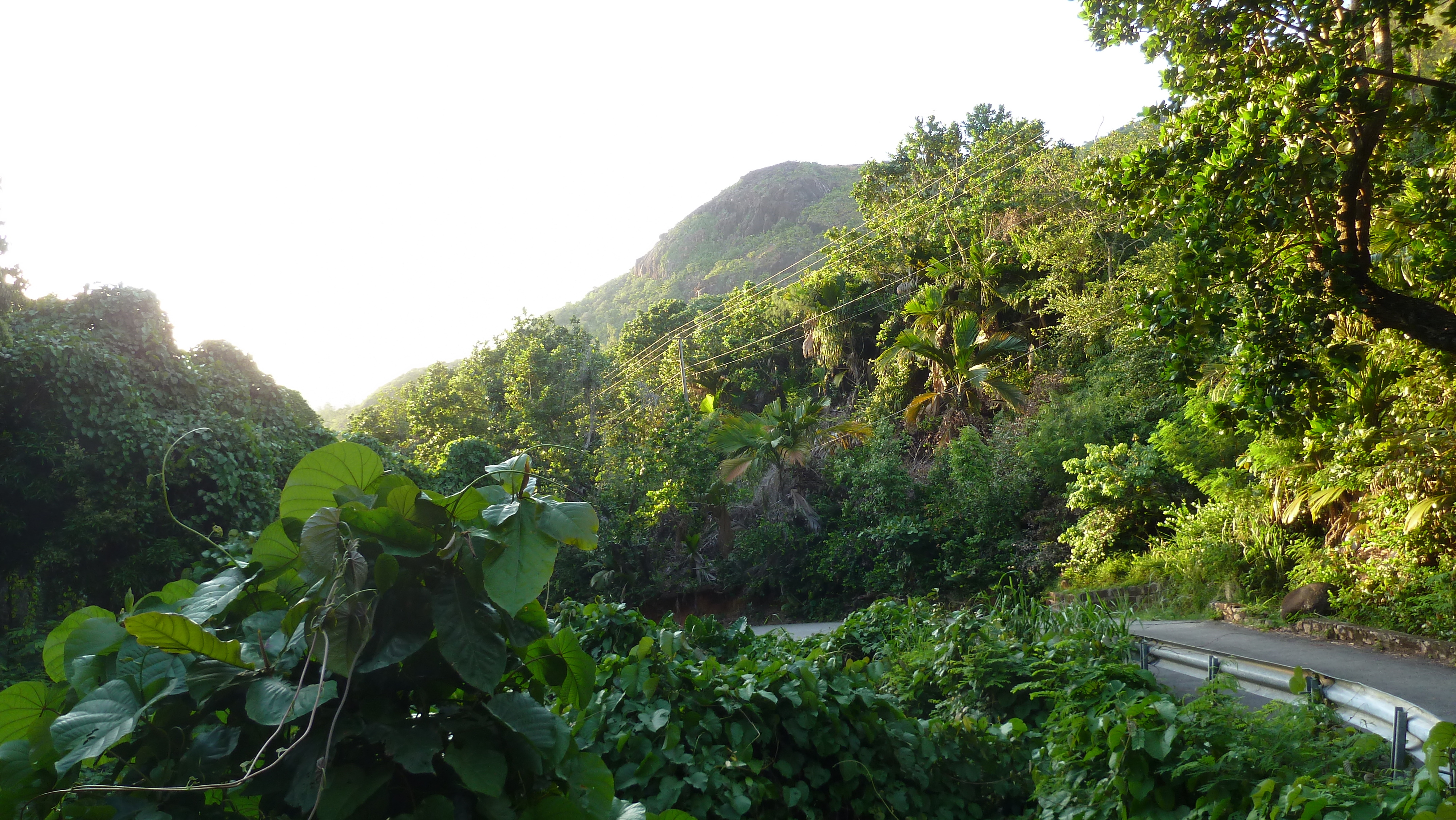 รูปถ่าย เซเชลส์(Seychelles) เกาะปราลิน(Praslin) 2011-10 222
