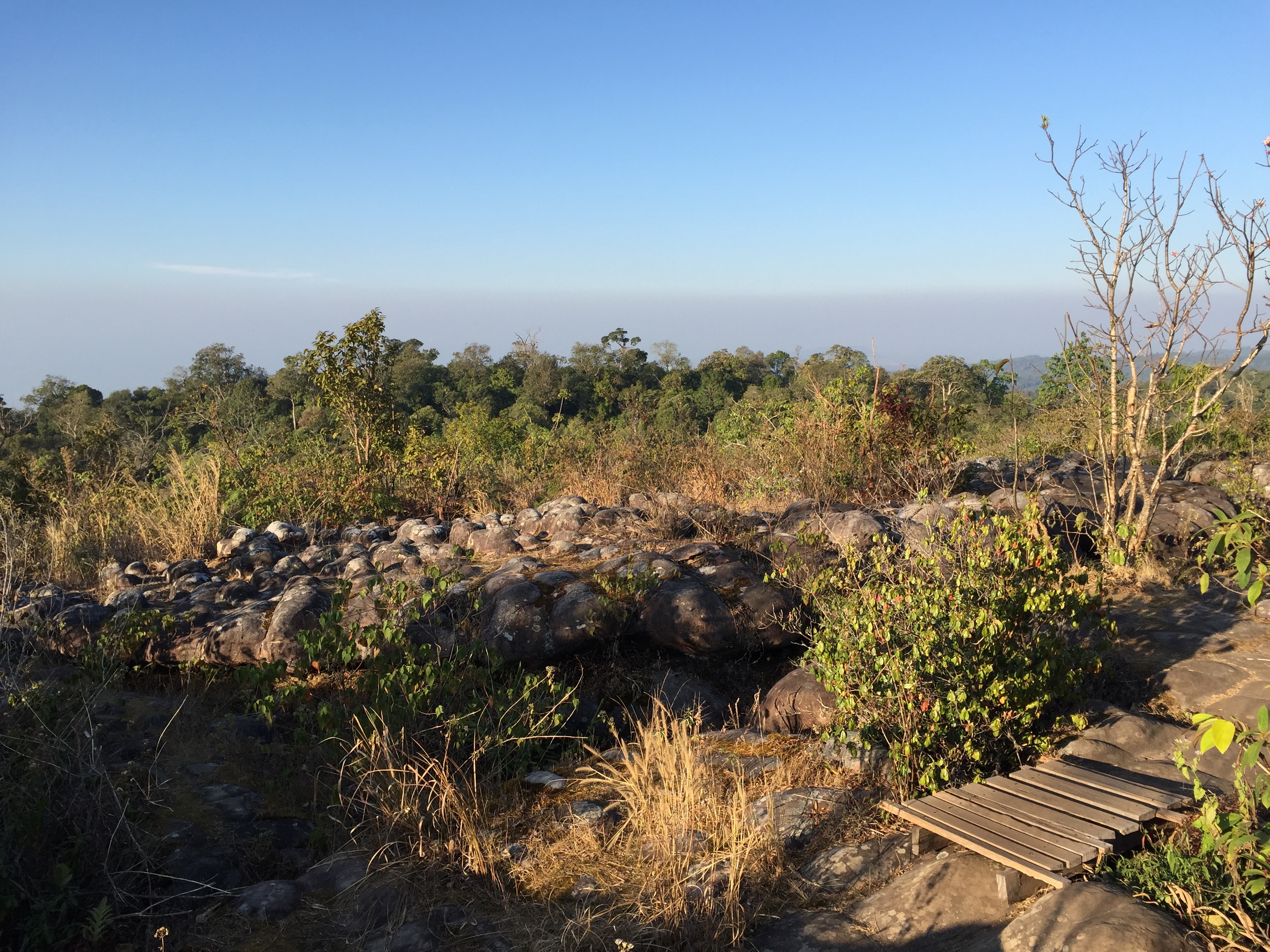 รูปถ่าย ไทย(Thailand) อุทยานแห่งชาติภูหินร่องกล้า(Phu Hin Rong Kla National Park) 2014-12 10