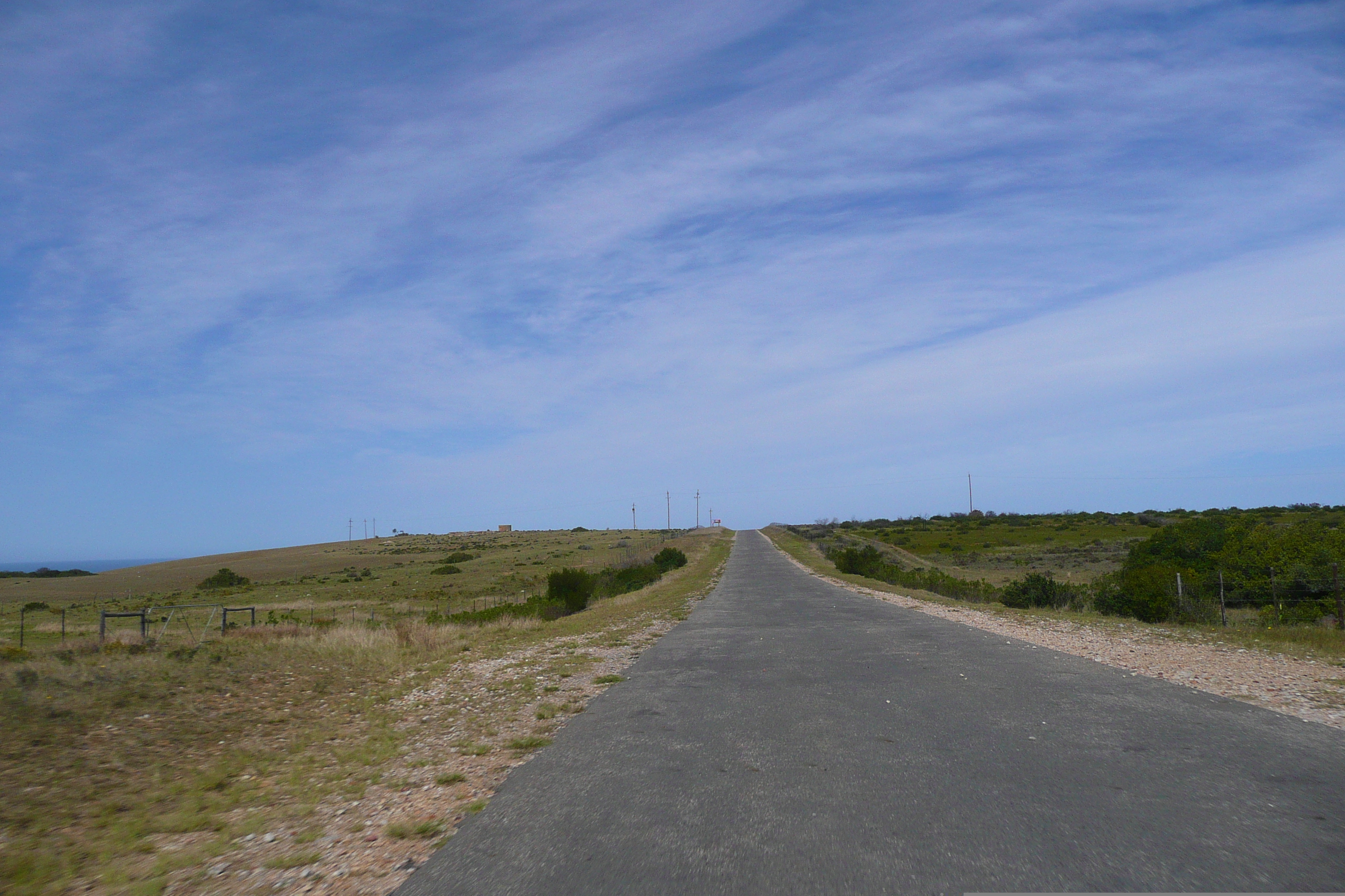 รูปถ่าย แอฟริกาใต้(South Africa) ถนนจากเฮอร์มานัสไปไนส์นา(Harmanus to Knysna road) 2008-09 57
