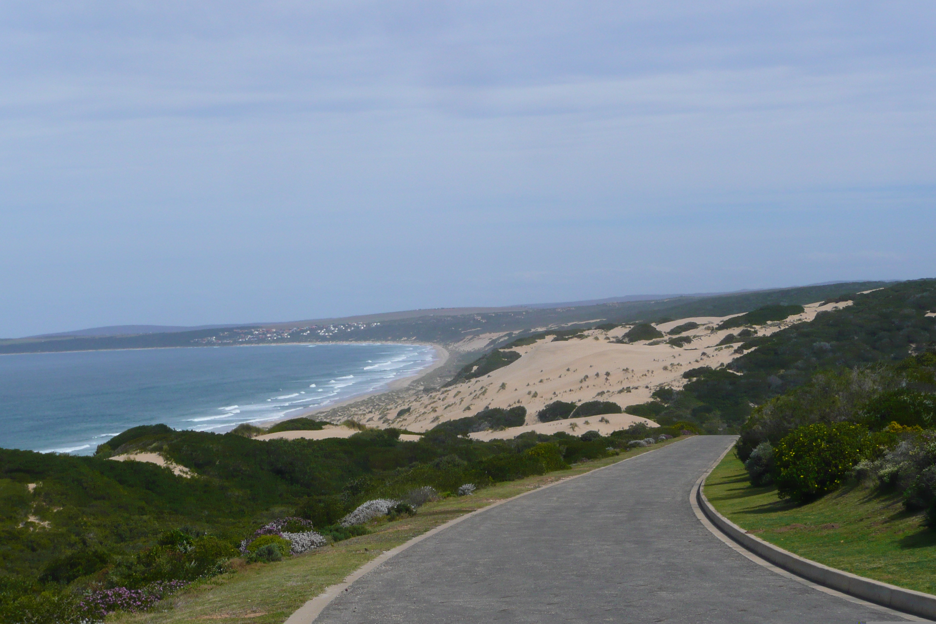 รูปถ่าย แอฟริกาใต้(South Africa) ถนนจากเฮอร์มานัสไปไนส์นา(Harmanus to Knysna road) 2008-09 77