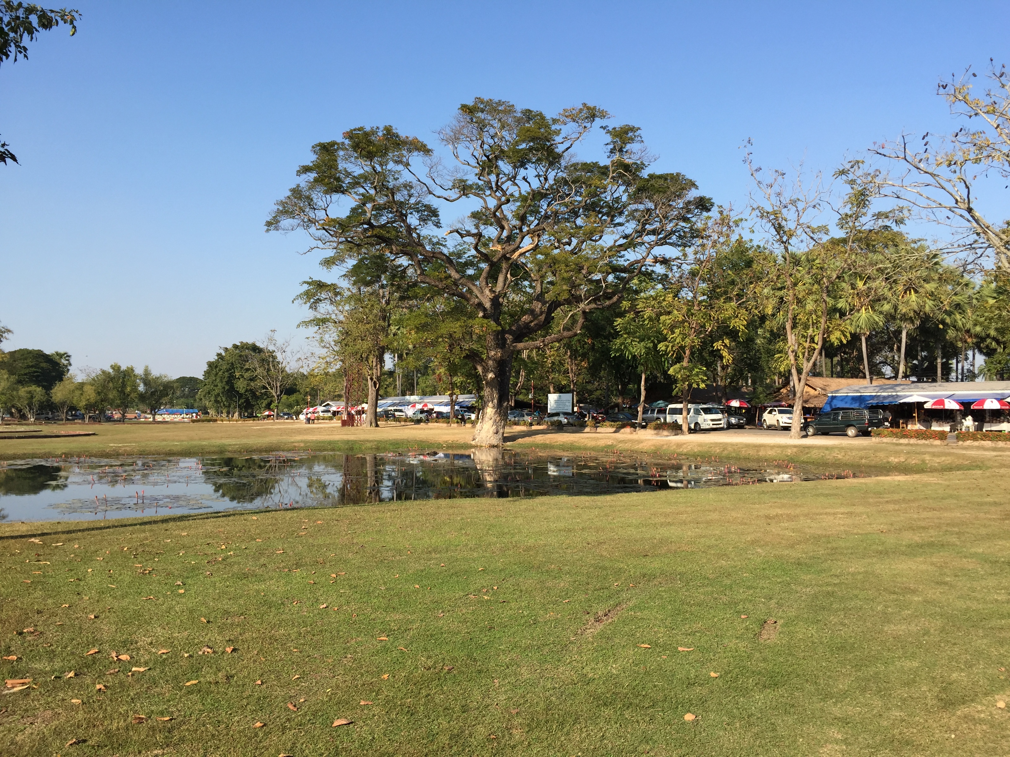 รูปถ่าย ไทย(Thailand) สุโขทัย(Sukhothai) 2014-12 39