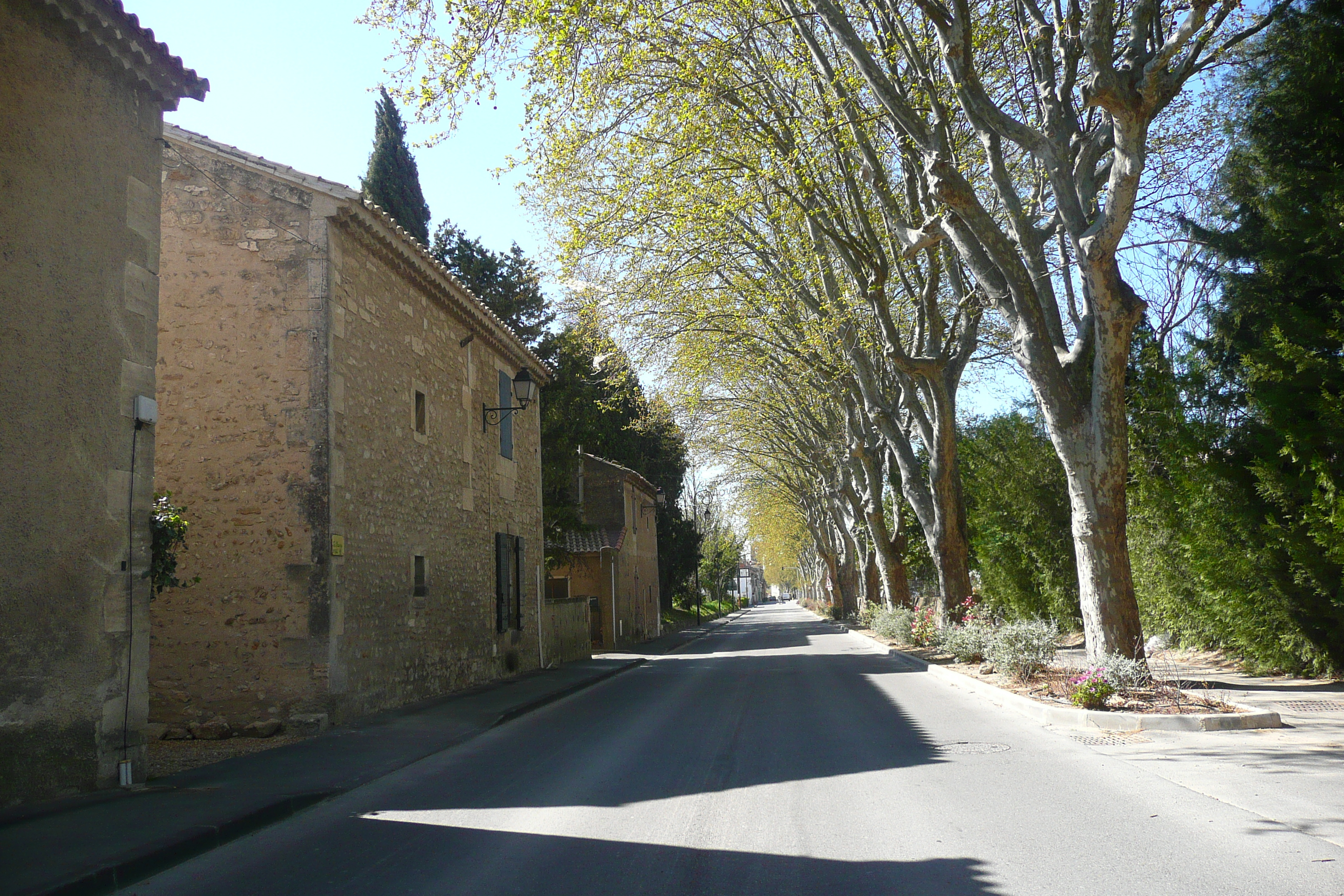 รูปถ่าย ฝรั่งเศส(France) มูรีแยส(Mouries) 2008-04 0