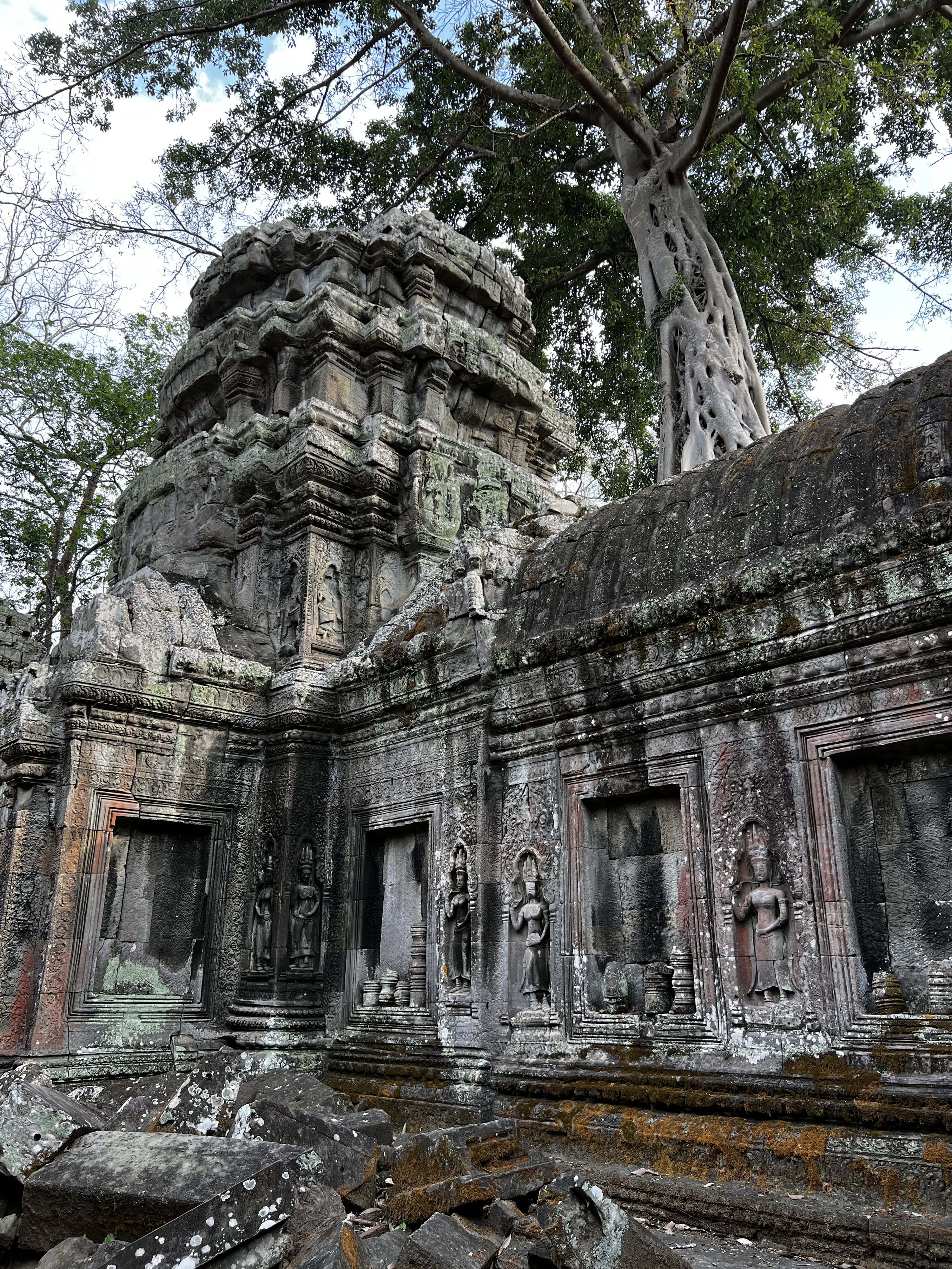 รูปถ่าย กัมพูชา(Cambodia) เสียมราฐ(Siem Reap) ปราสาทตาพรหม(Ta Prohm) 2023-01 153