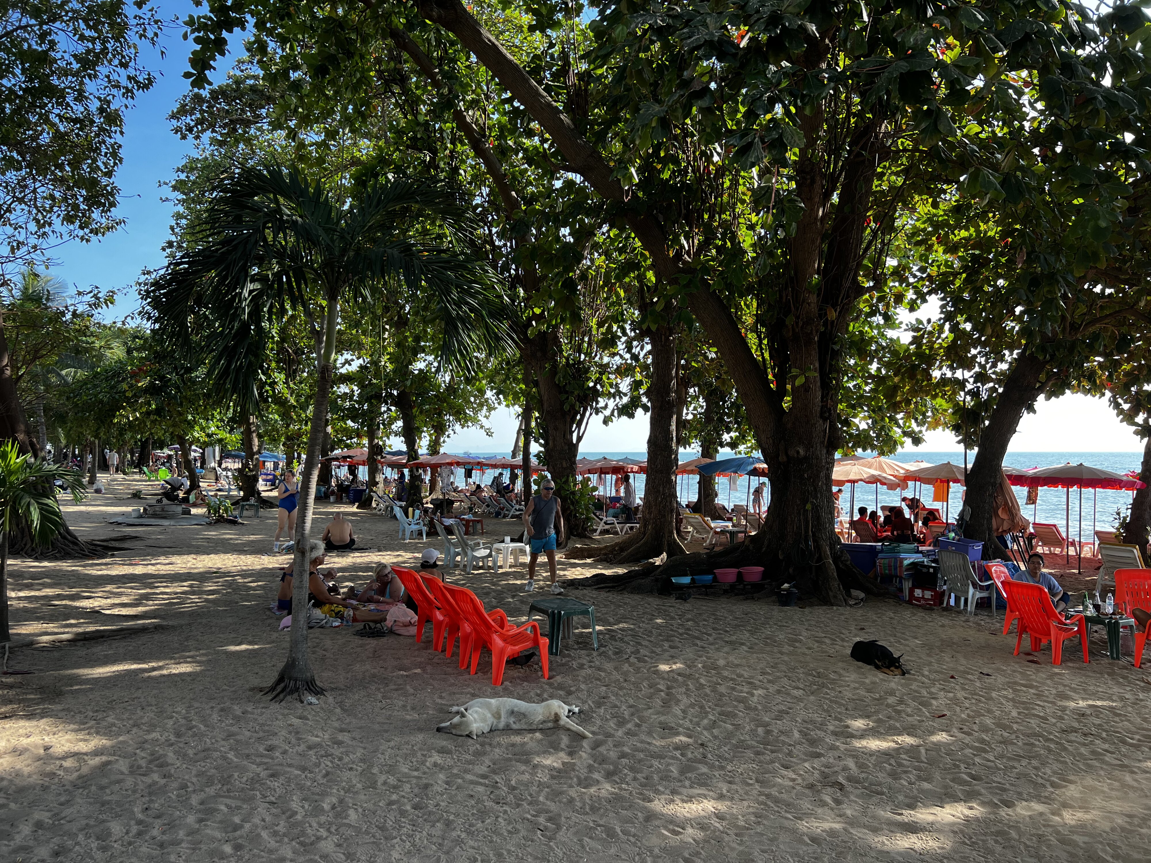 รูปถ่าย ไทย(Thailand) พัทยา(Pattaya) 2022-12 39
