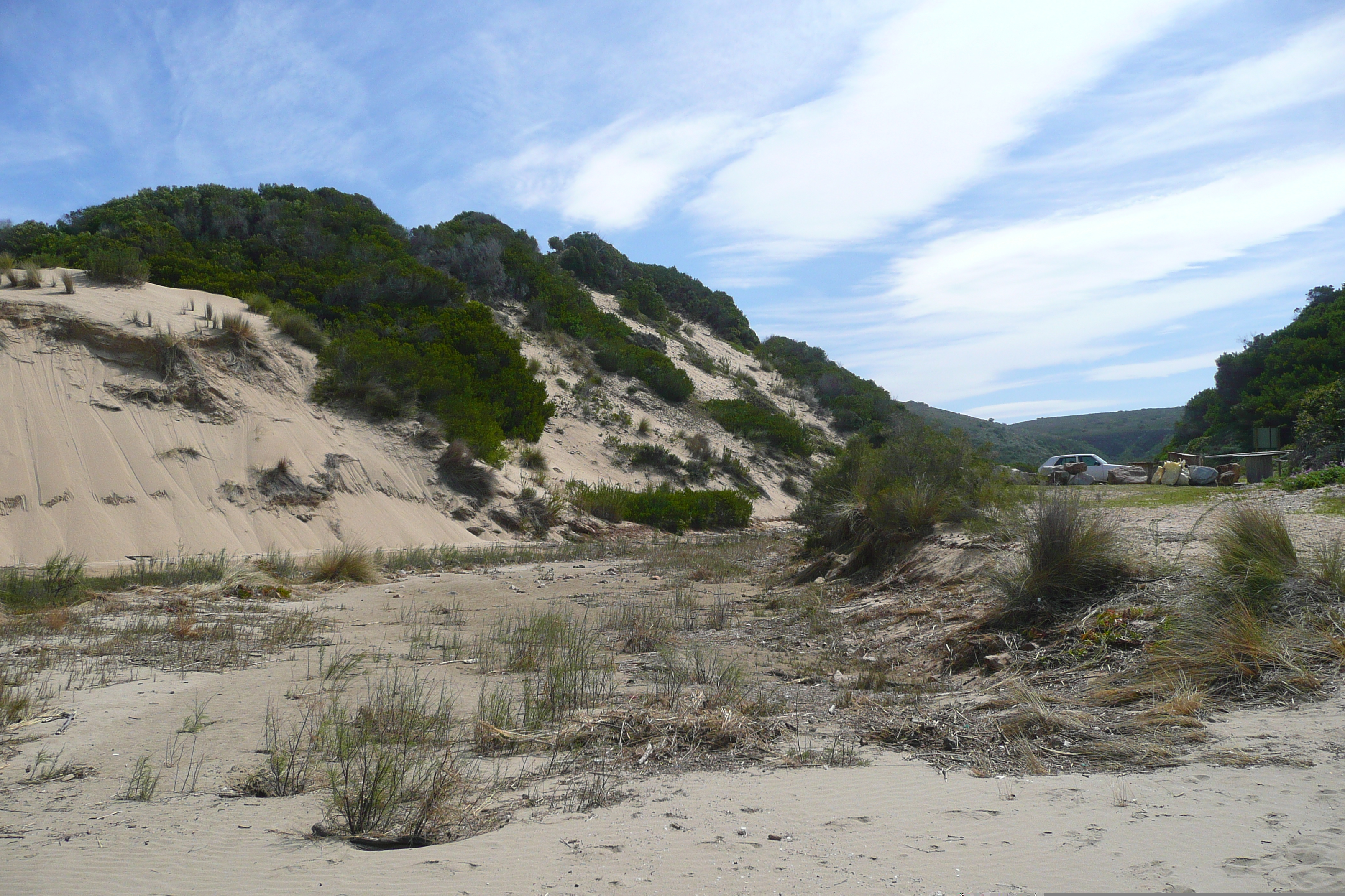 รูปถ่าย แอฟริกาใต้(South Africa) ถนนจากเฮอร์มานัสไปไนส์นา(Harmanus to Knysna road) 2008-09 81