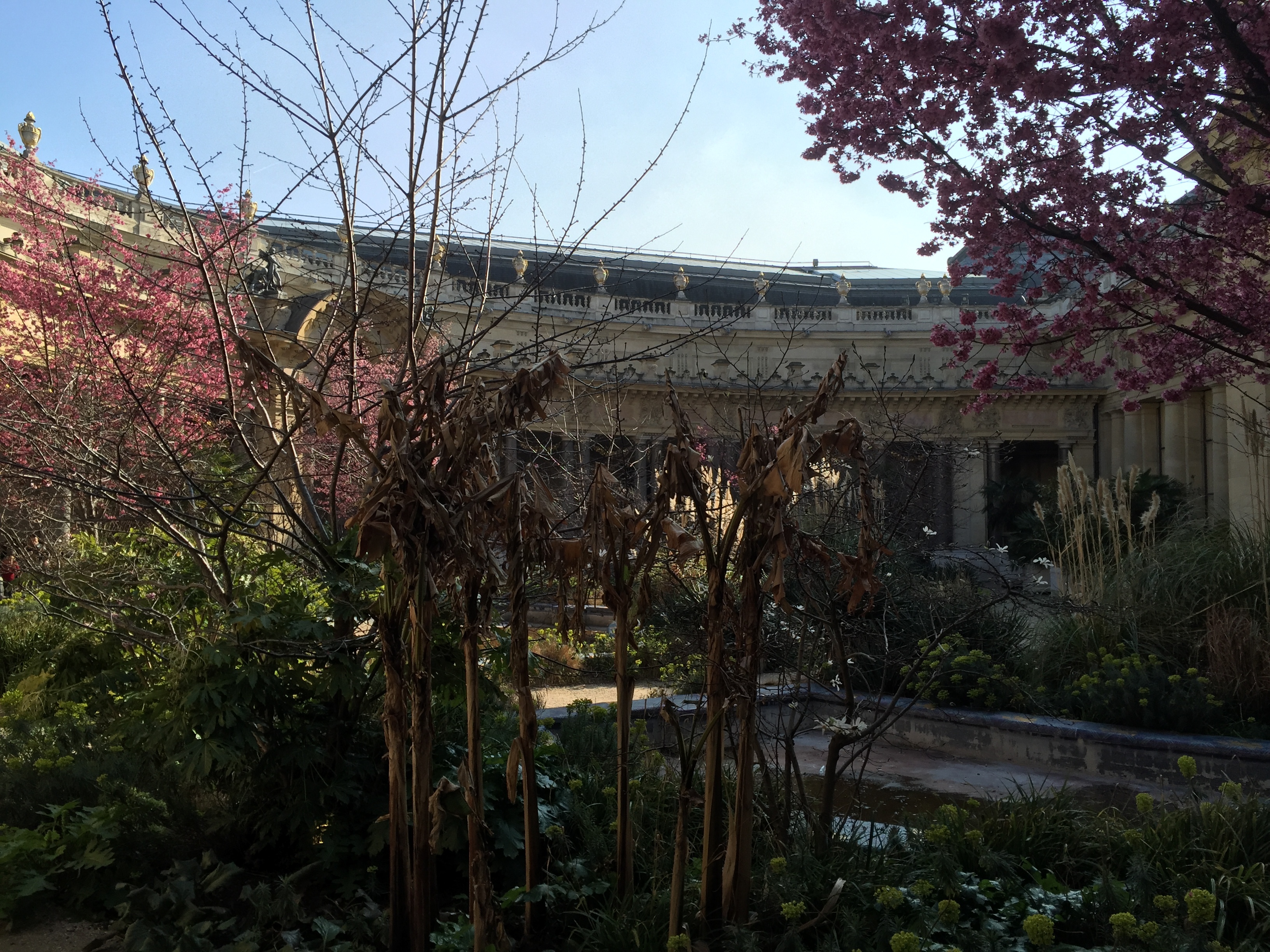 รูปถ่าย ฝรั่งเศส(France) ปารีส(Paris) ปตีปาเล(Petit Palais) 2016-03 30