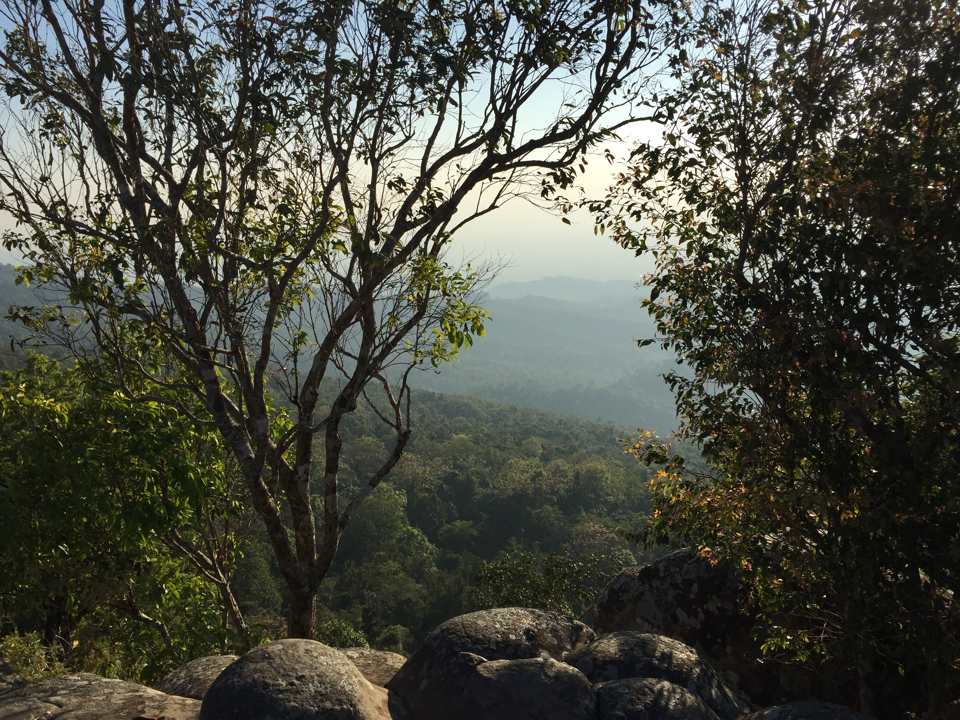 รูปถ่าย ไทย(Thailand) อุทยานแห่งชาติภูหินร่องกล้า(Phu Hin Rong Kla National Park) 2014-12 356
