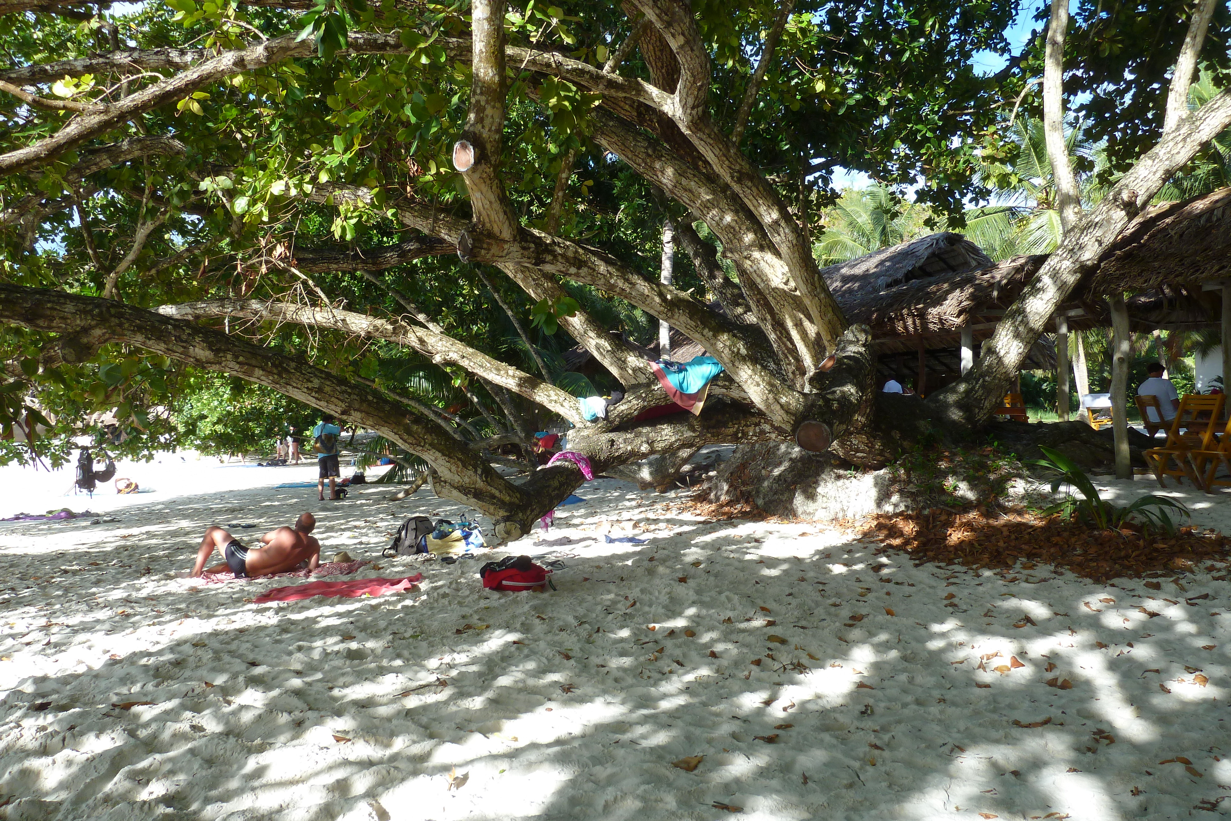 รูปถ่าย เซเชลส์(Seychelles) อ่าวอ็องส์ลาซิโอ(Anse Lazio) 2011-10 96