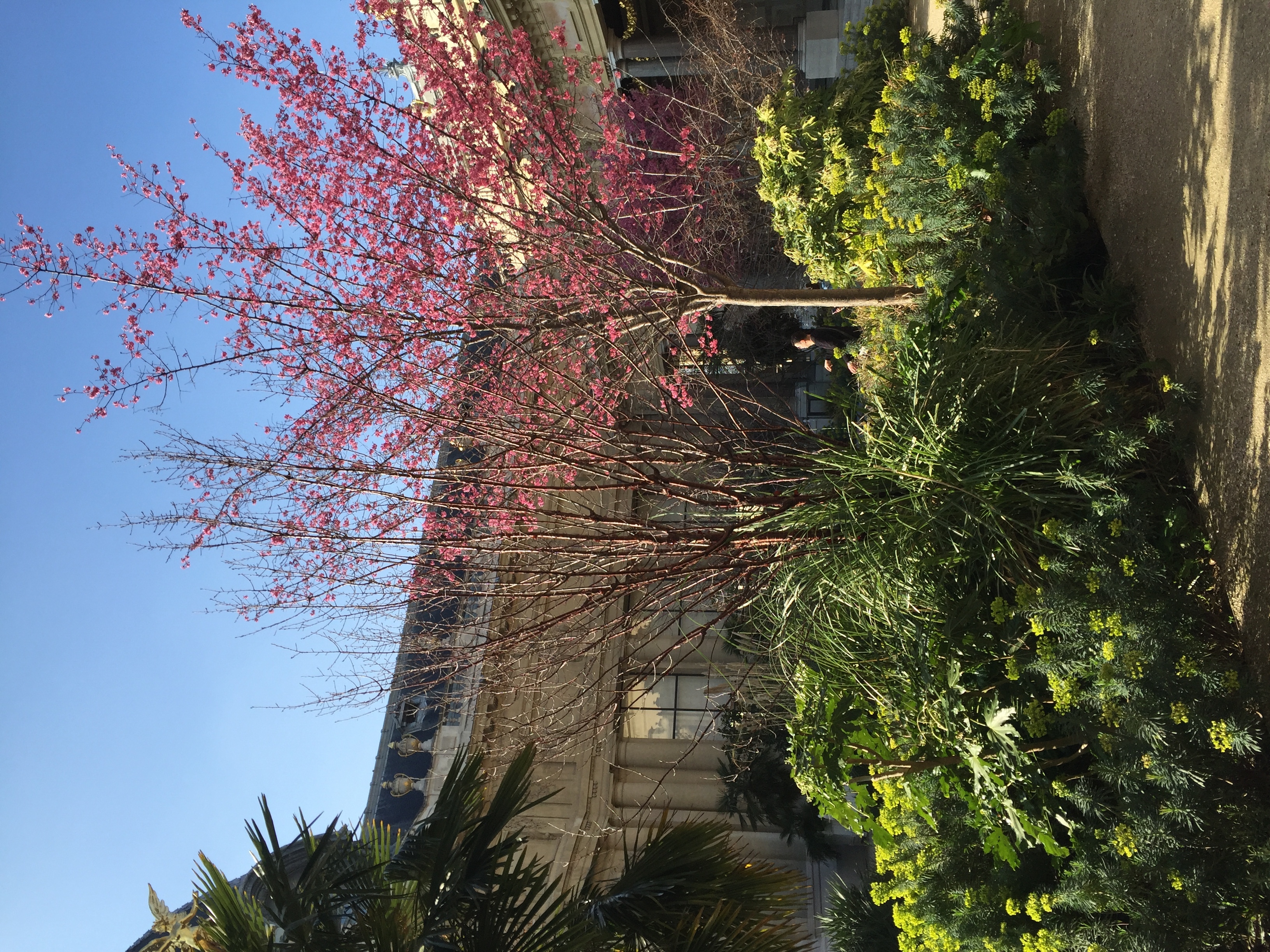 รูปถ่าย ฝรั่งเศส(France) ปารีส(Paris) ปตีปาเล(Petit Palais) 2016-03 26