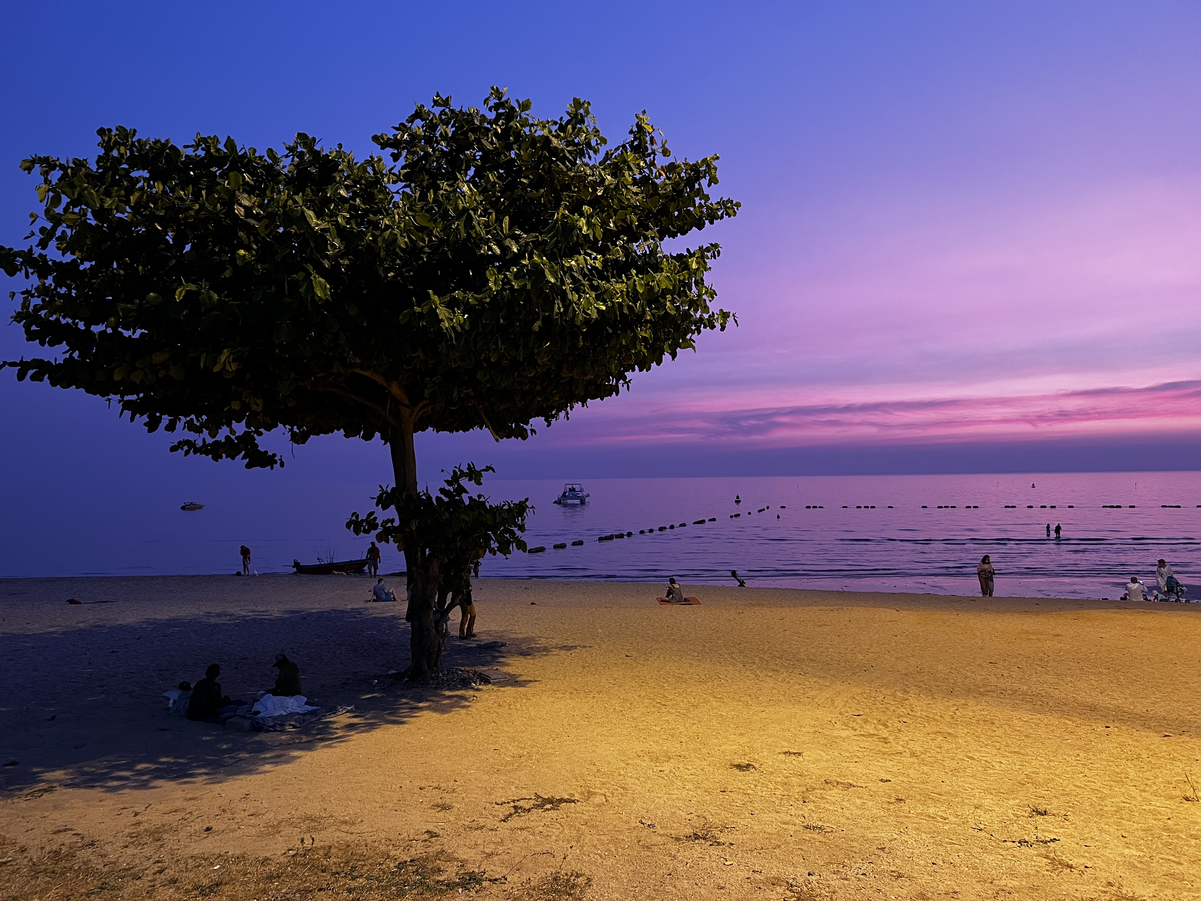 รูปถ่าย ไทย(Thailand) พัทยา(Pattaya) 2023-01 43