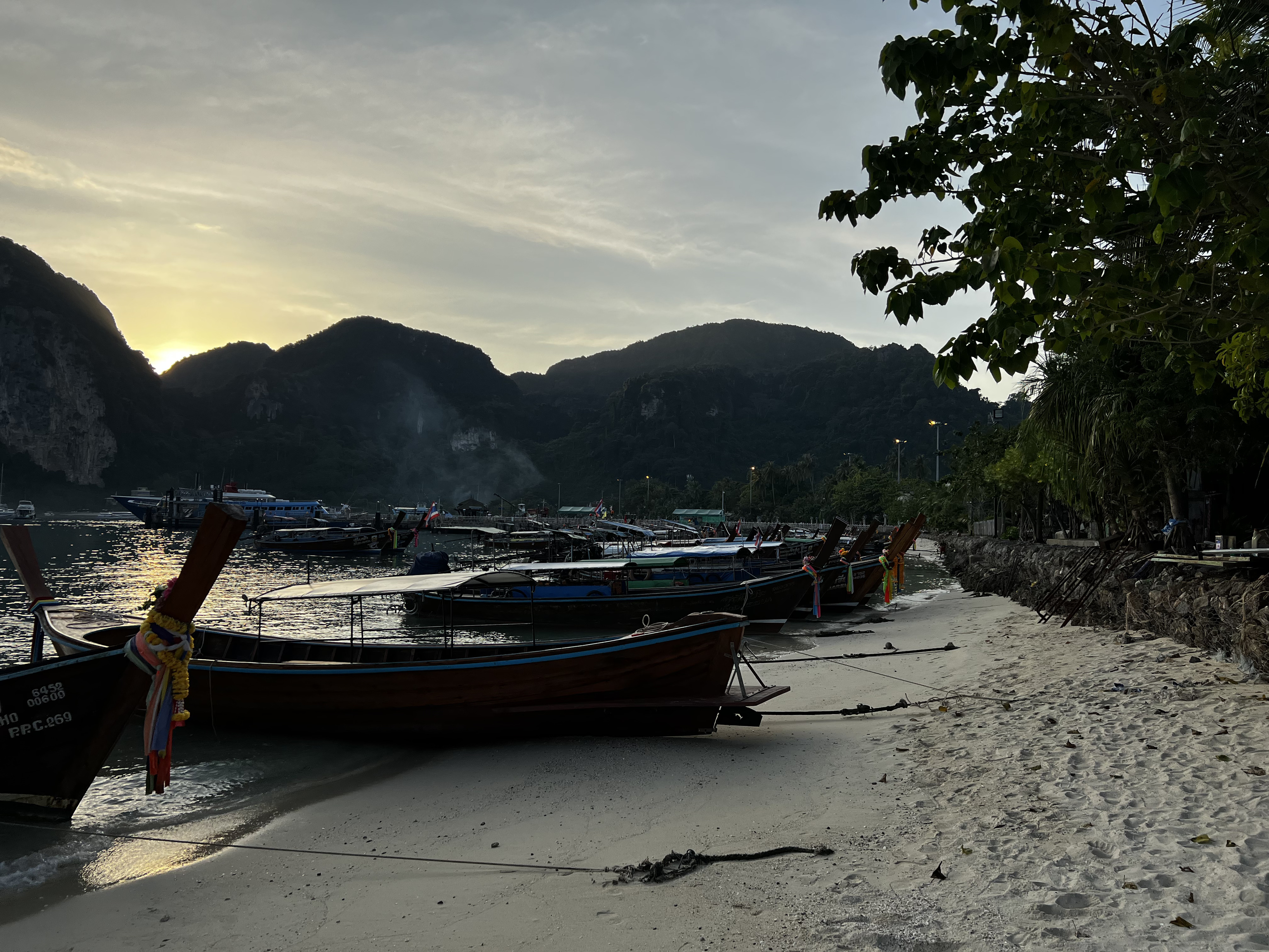 รูปถ่าย ไทย(Thailand) เกาะพีพีดอน(Ko Phi Phi Don) 2021-12 177