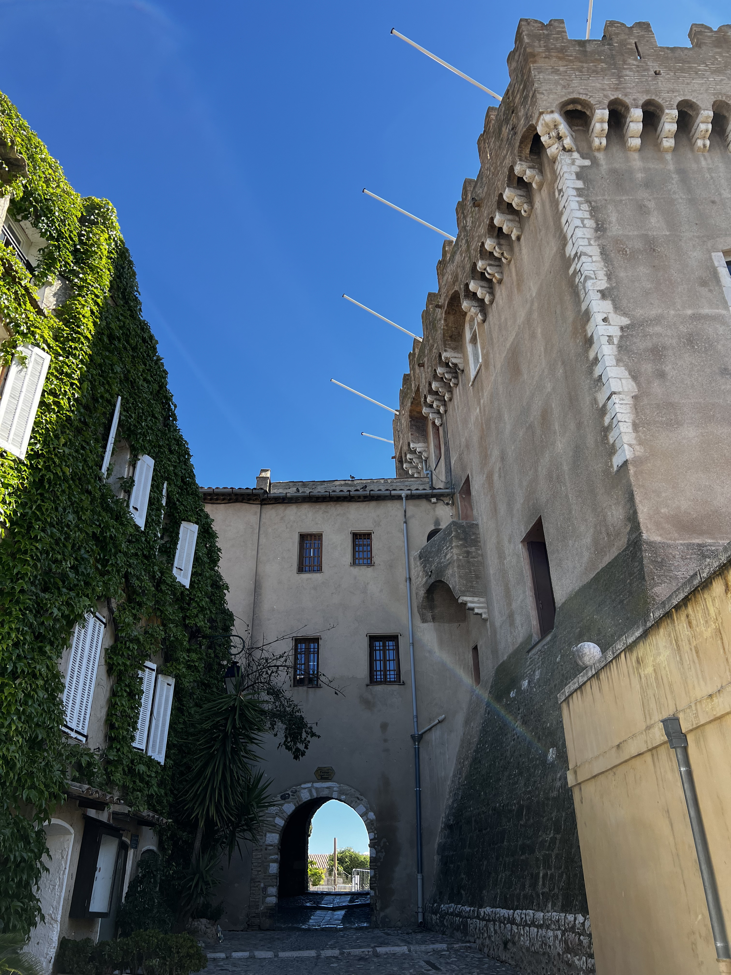 รูปถ่าย ฝรั่งเศส(France) โอเดอกาญ(Haut de Cagne) 2024-04 11