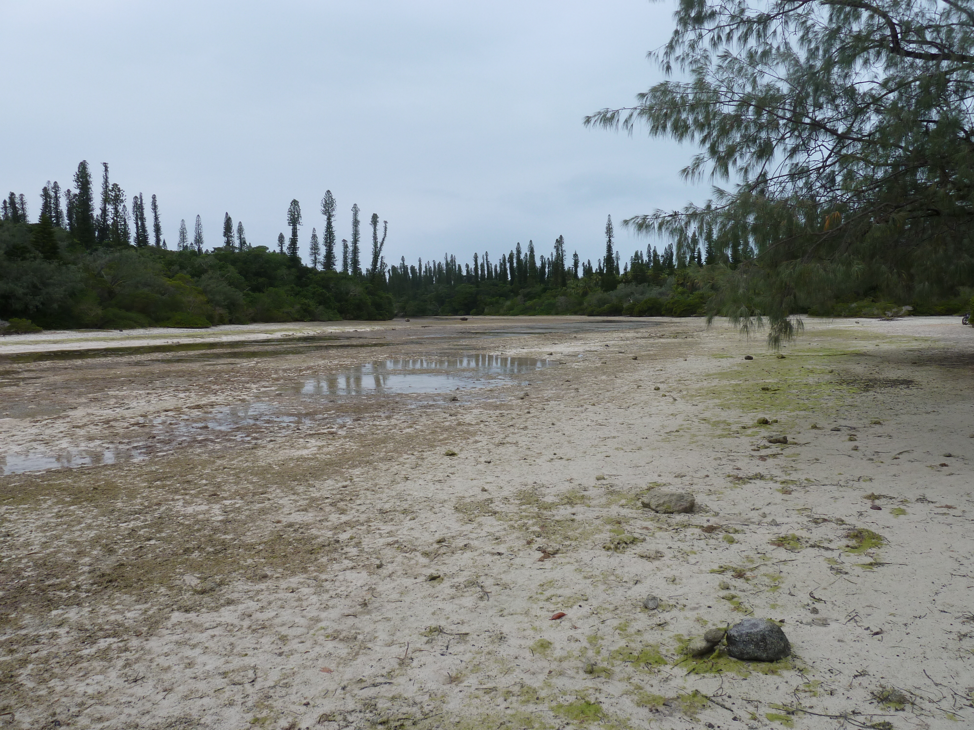 รูปถ่าย นิวแคลิโดเนีย(New Caledonia) เกาะต้นสน(Ile des pins) อ่าวโอโร(Oro Bay) 2010-05 4