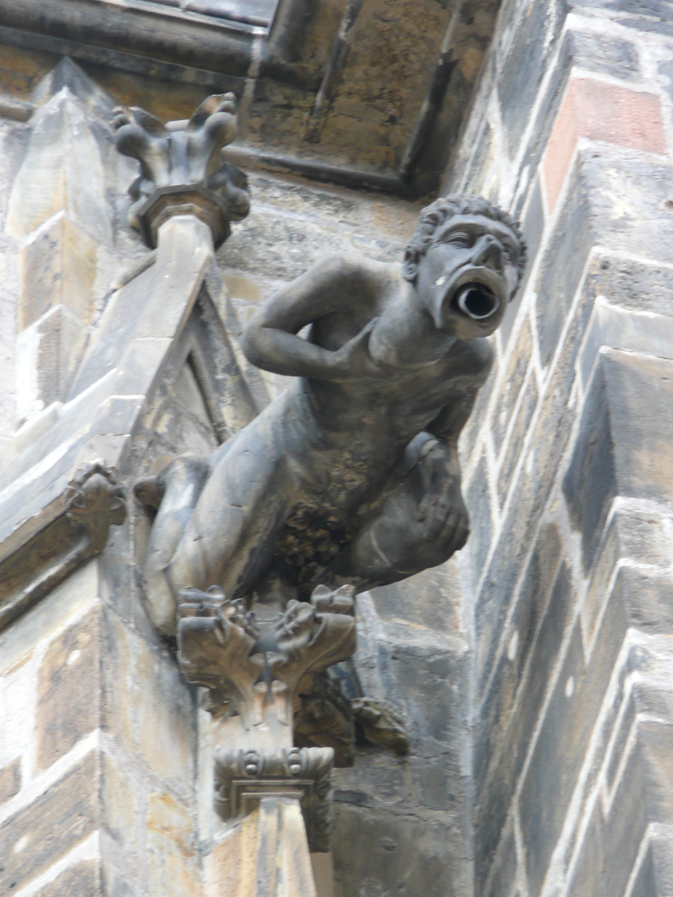 รูปถ่าย สาธารณรัฐเช็ก(Czech Republic) ปราก(Prague) ปราสาทปราก(Prague Castle) 2007-07 91