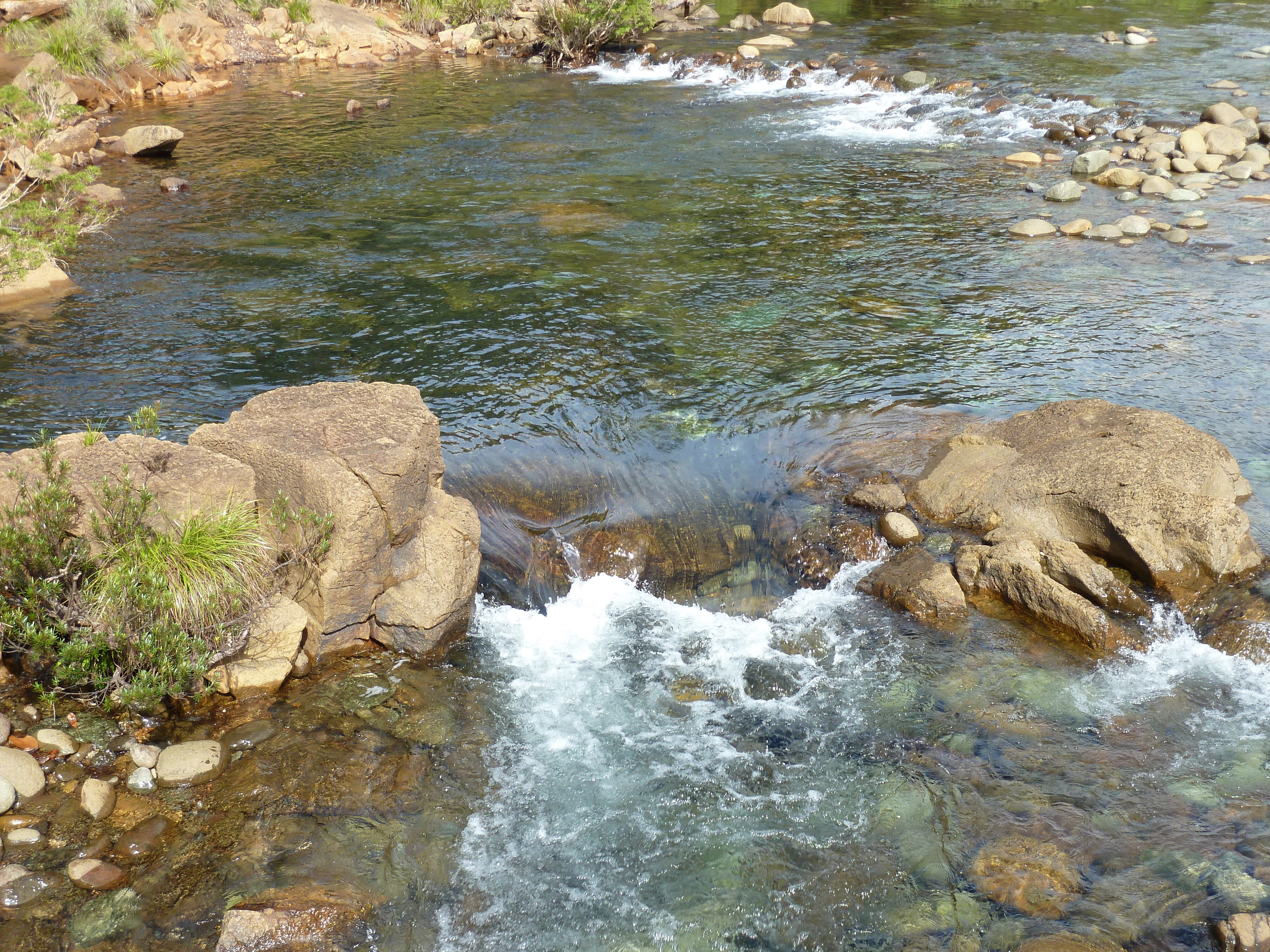 รูปถ่าย นิวแคลิโดเนีย(New Caledonia) อุทยานริเวียร์เบลอ(Parc de la Riviere Bleue) 2010-05 10