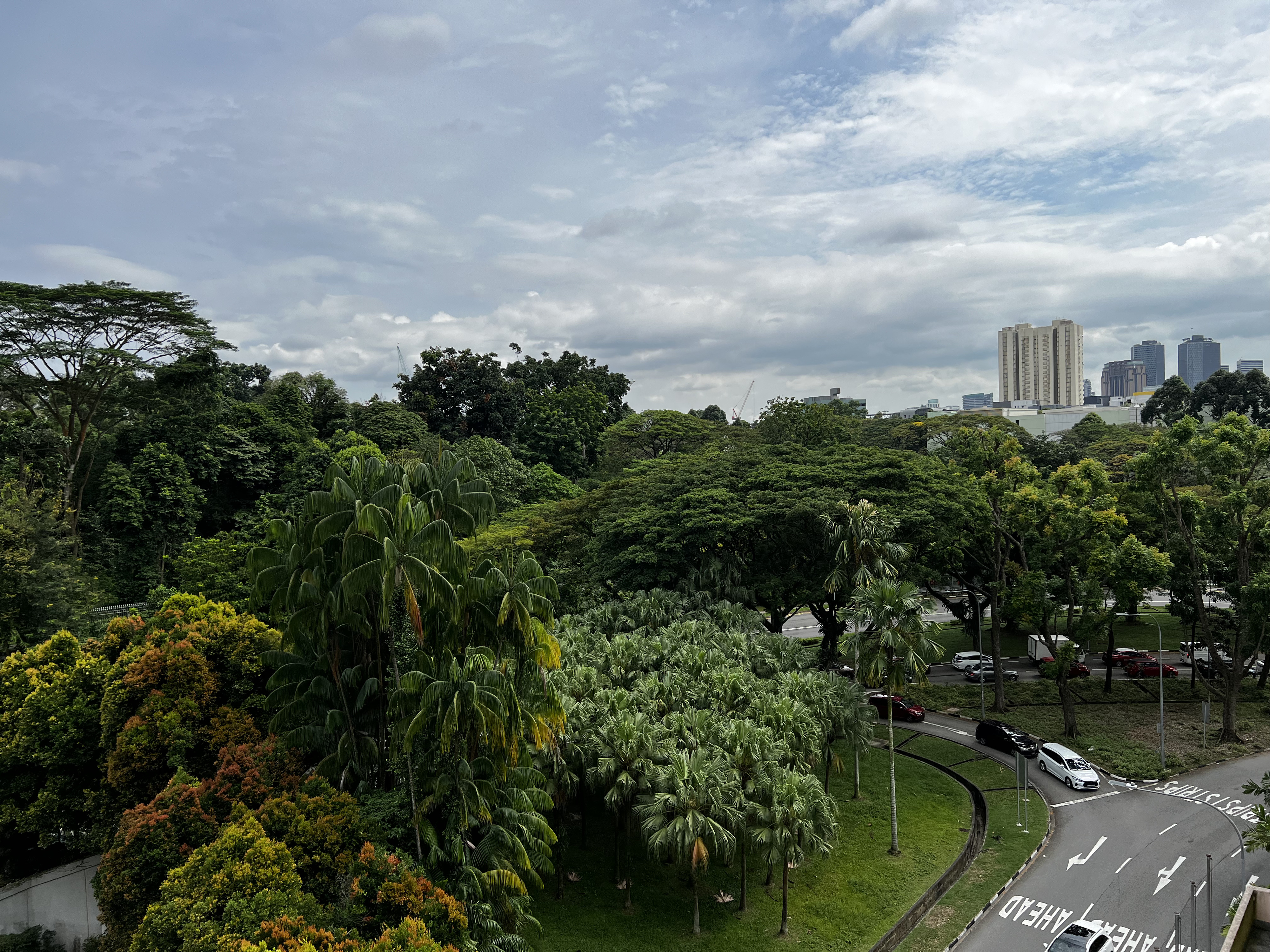 รูปถ่าย สิงคโปร์(Singapore) 2023-01 80