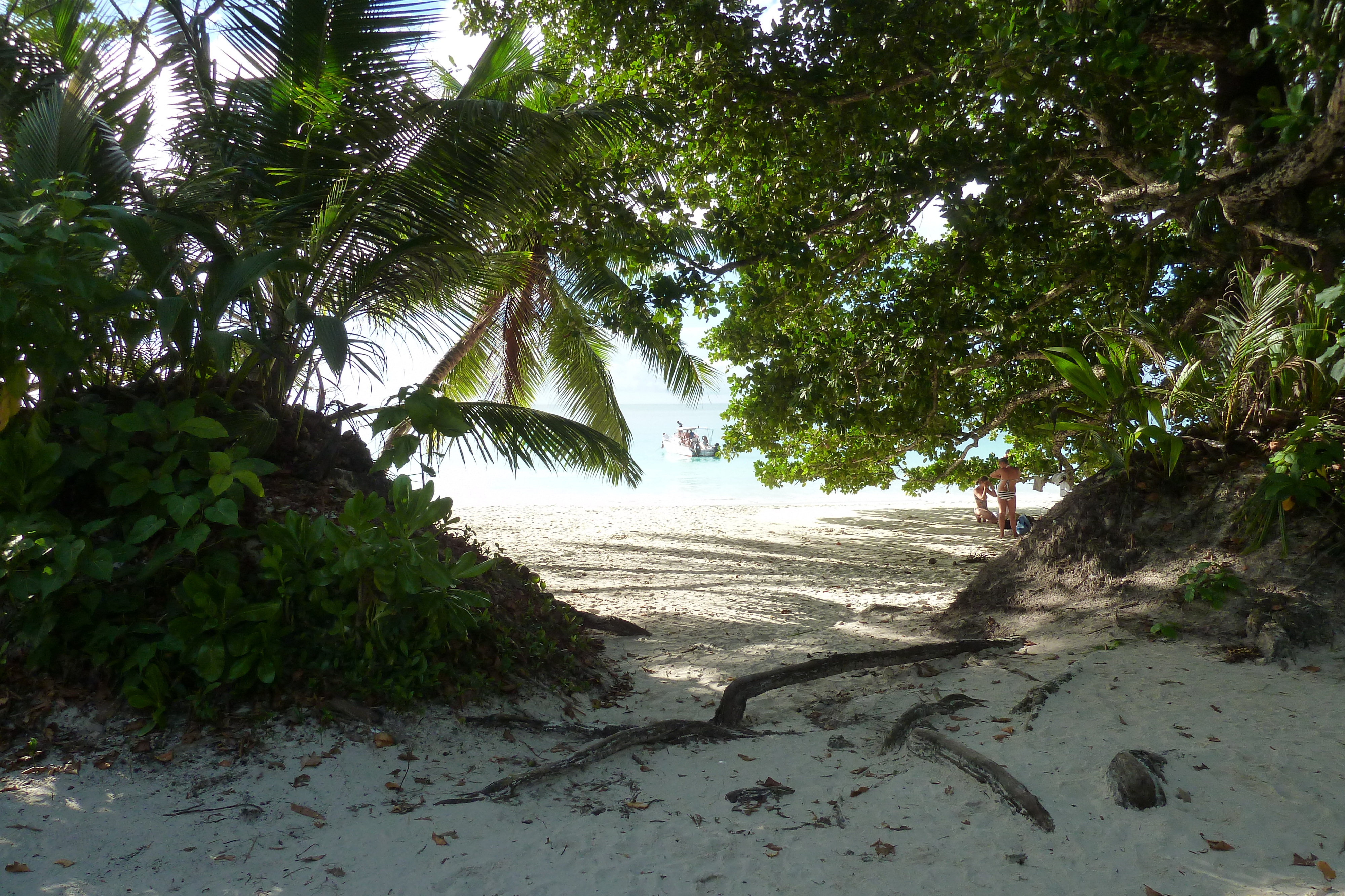 รูปถ่าย เซเชลส์(Seychelles) อ่าวอ็องส์ลาซิโอ(Anse Lazio) 2011-10 95