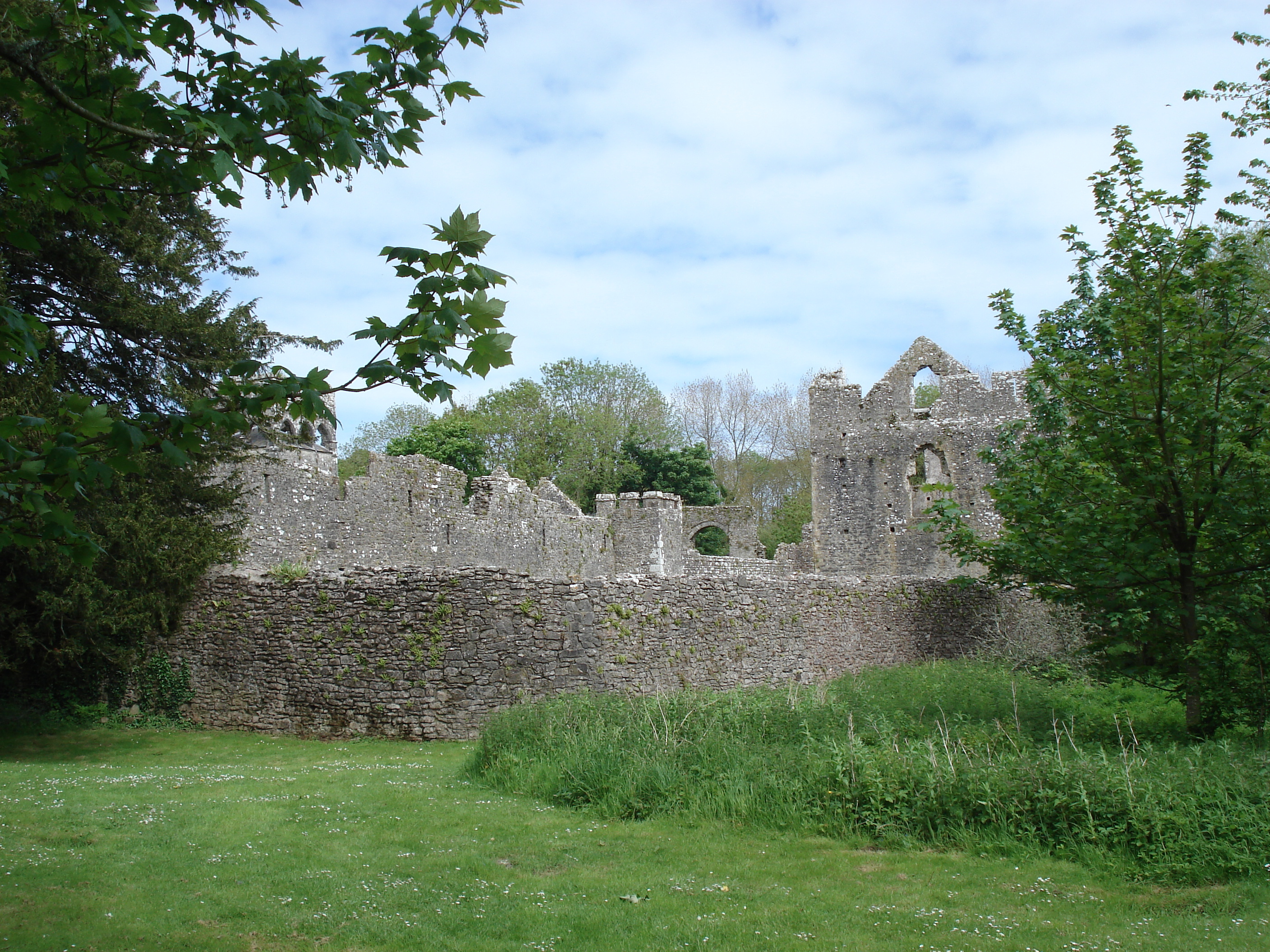 รูปถ่าย อังกฤษ(United Kingdom) เปมโบรคเชอร์(Pembrokeshire) แลมปลี(Lamphey) 2006-05 11