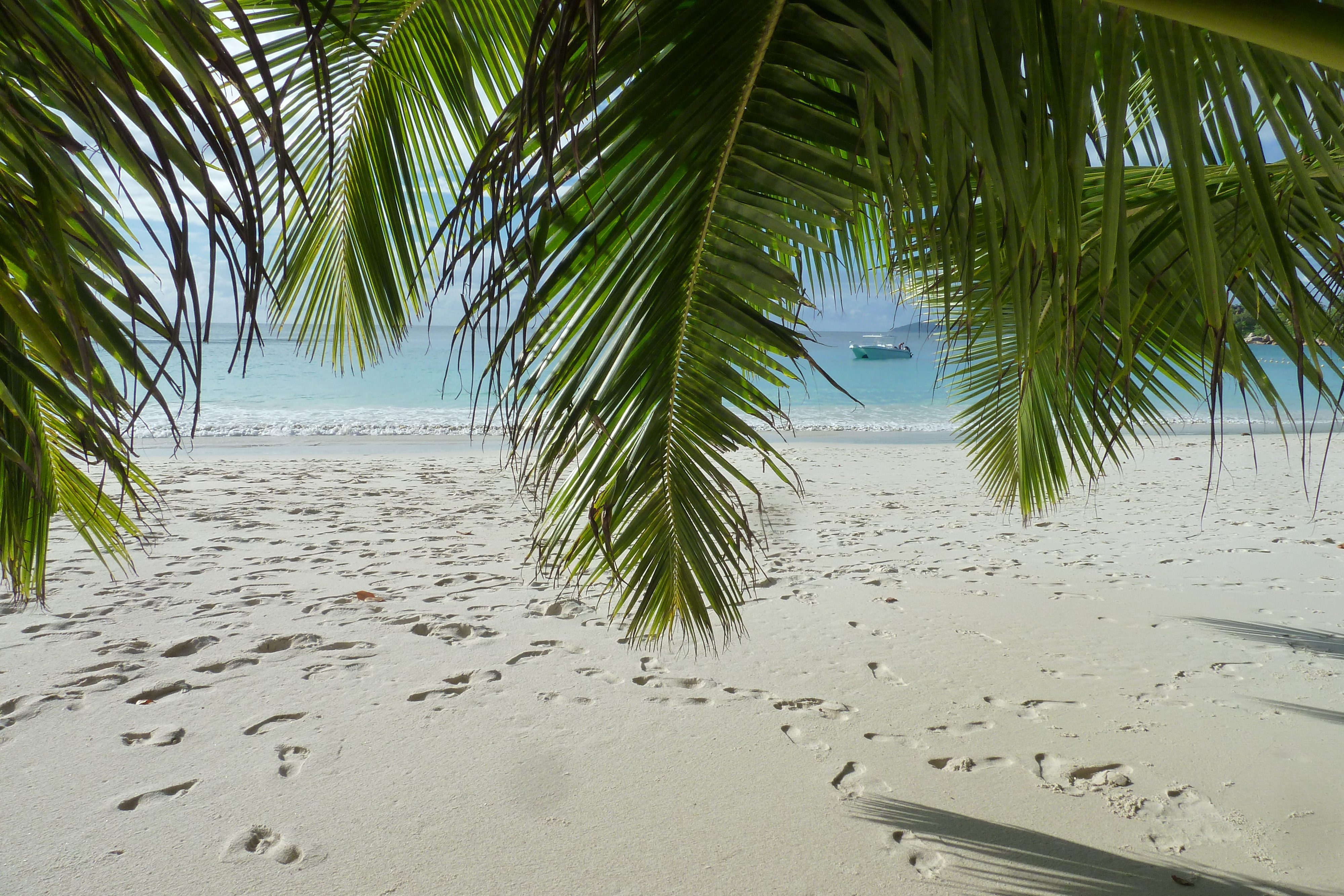 รูปถ่าย เซเชลส์(Seychelles) อ่าวอ็องส์ลาซิโอ(Anse Lazio) 2011-10 124