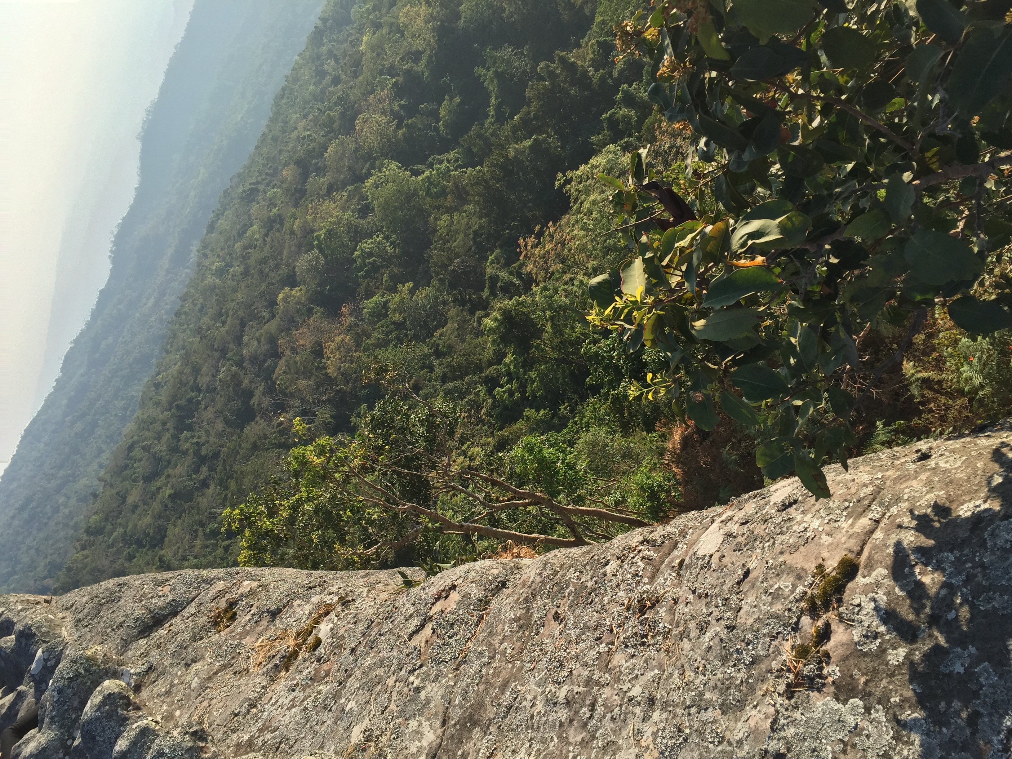 รูปถ่าย ไทย(Thailand) อุทยานแห่งชาติภูหินร่องกล้า(Phu Hin Rong Kla National Park) 2014-12 345