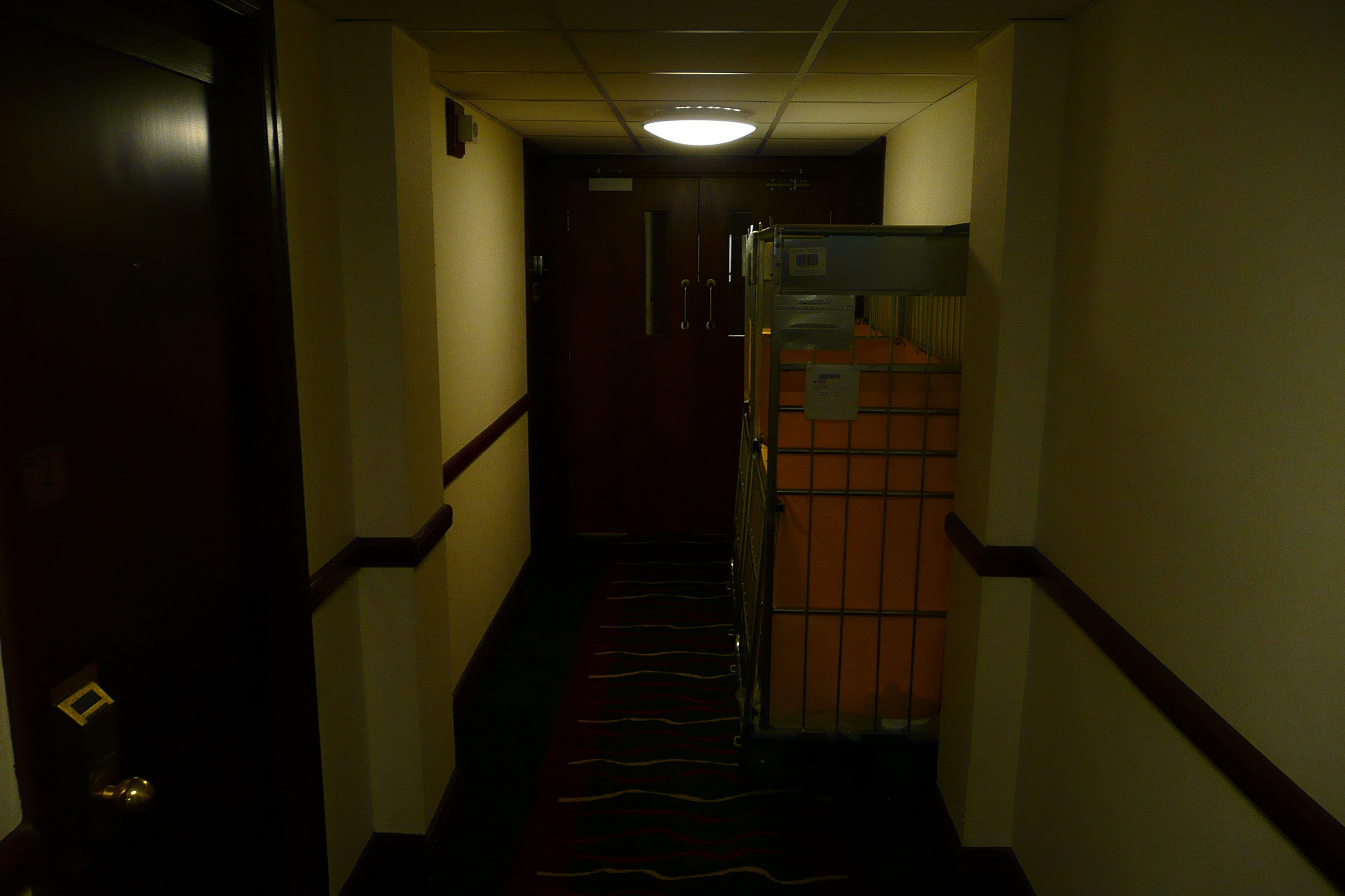 รูปถ่าย อังกฤษ(United Kingdom) ลอนดอน(London) โรงแรมสแตรนด์พาเลซ(Strand Palace Hotel) 2008-02 20