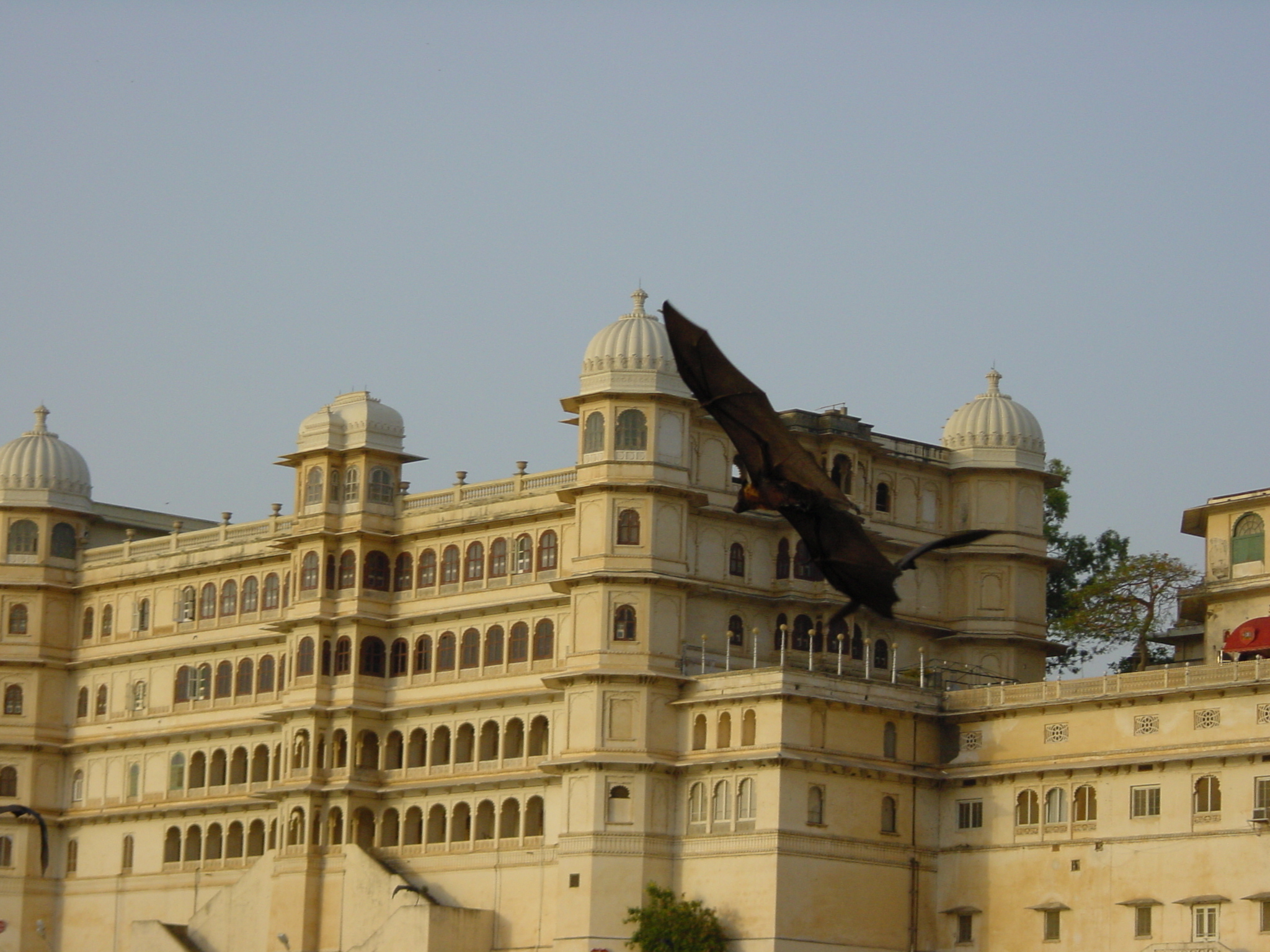 รูปถ่าย อินเดีย(India) อูไดปูร์(Udaipur) 2003-05 19