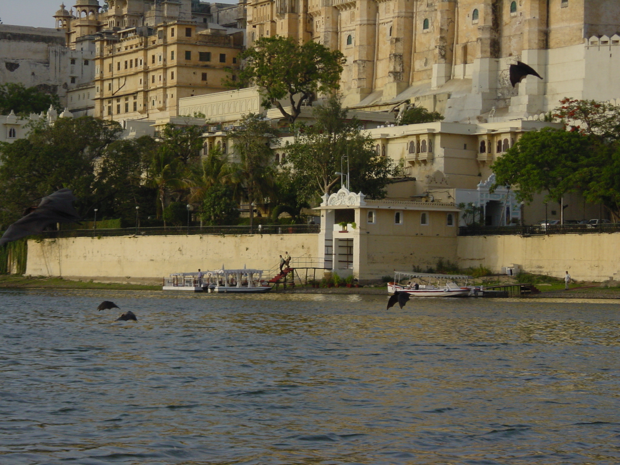 รูปถ่าย อินเดีย(India) อูไดปูร์(Udaipur) 2003-05 17