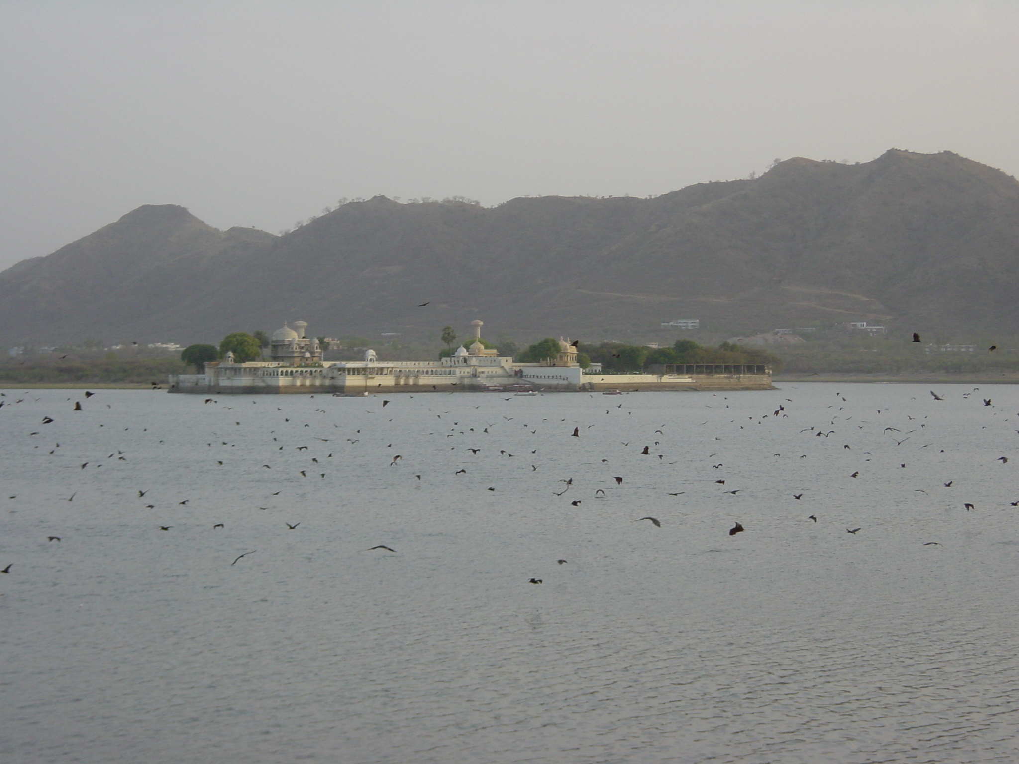 รูปถ่าย อินเดีย(India) อูไดปูร์(Udaipur) 2003-05 7