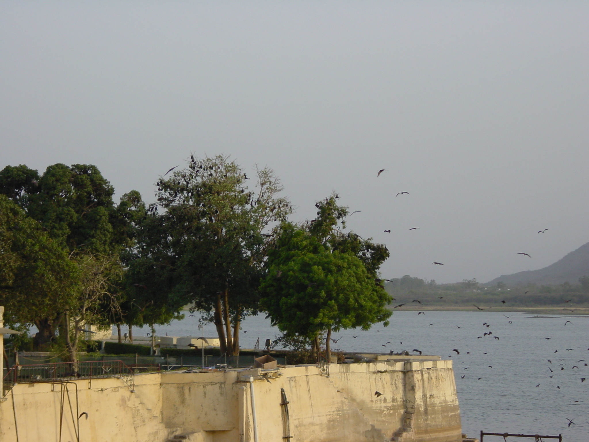 รูปถ่าย อินเดีย(India) อูไดปูร์(Udaipur) 2003-05 166