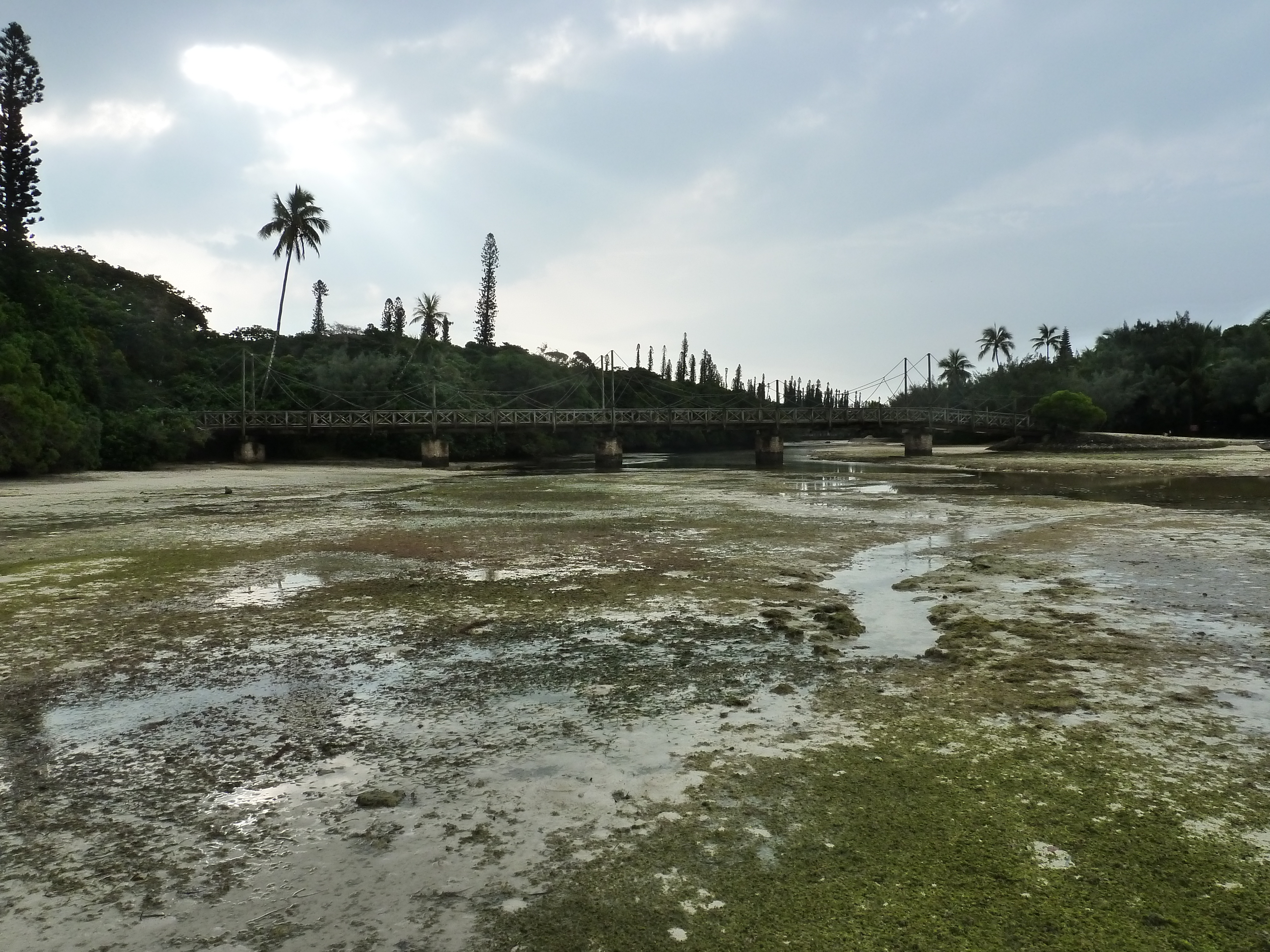 รูปถ่าย นิวแคลิโดเนีย(New Caledonia) เกาะต้นสน(Ile des pins) อ่าวโอโร(Oro Bay) 2010-05 85
