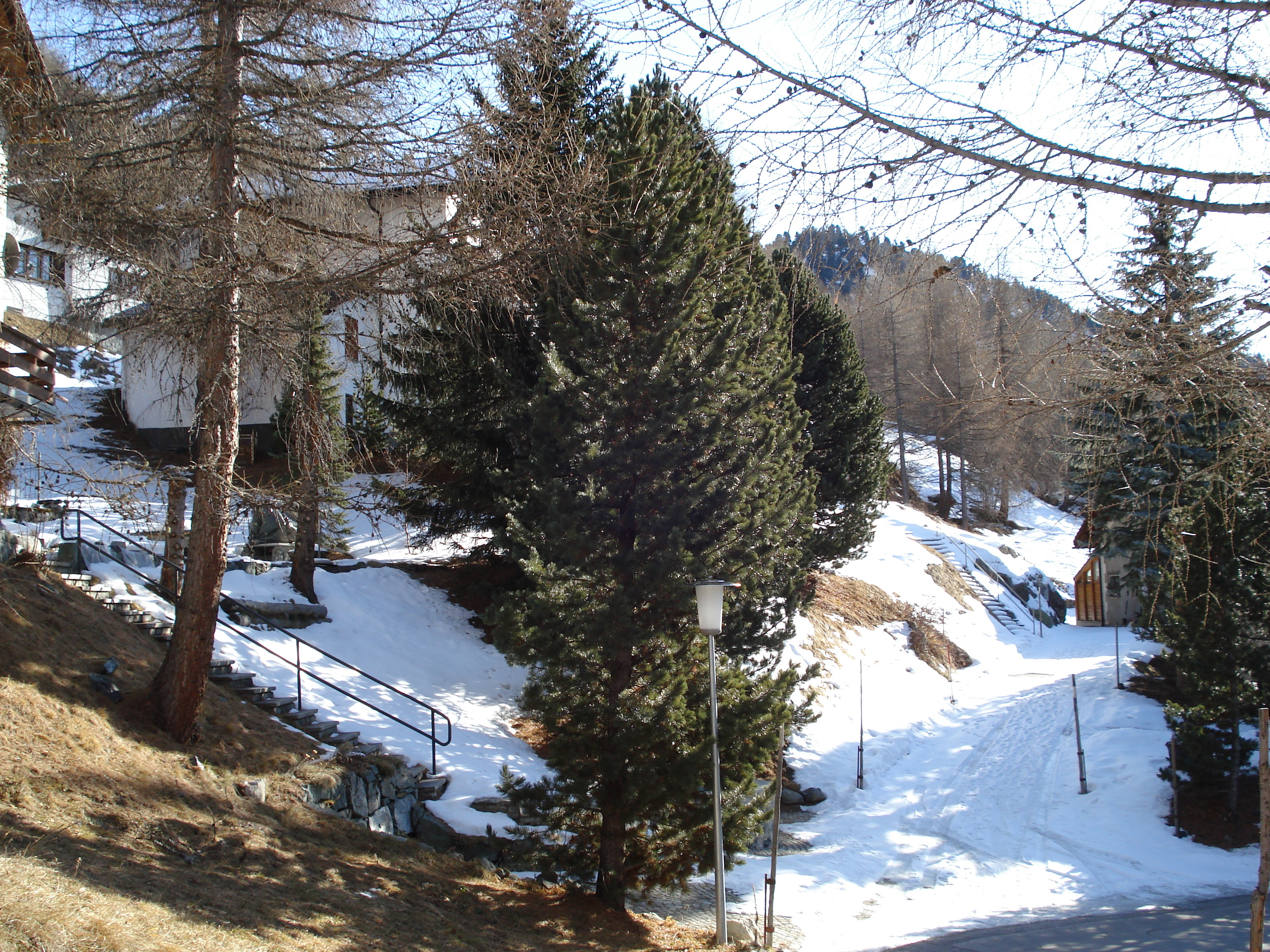 รูปถ่าย สวิสเซอร์แลนด์(Switzerland) ถนนจากคูร์ไปเซนต์มอริตซ์(Chur to St Moritz Road) 2007-01 48