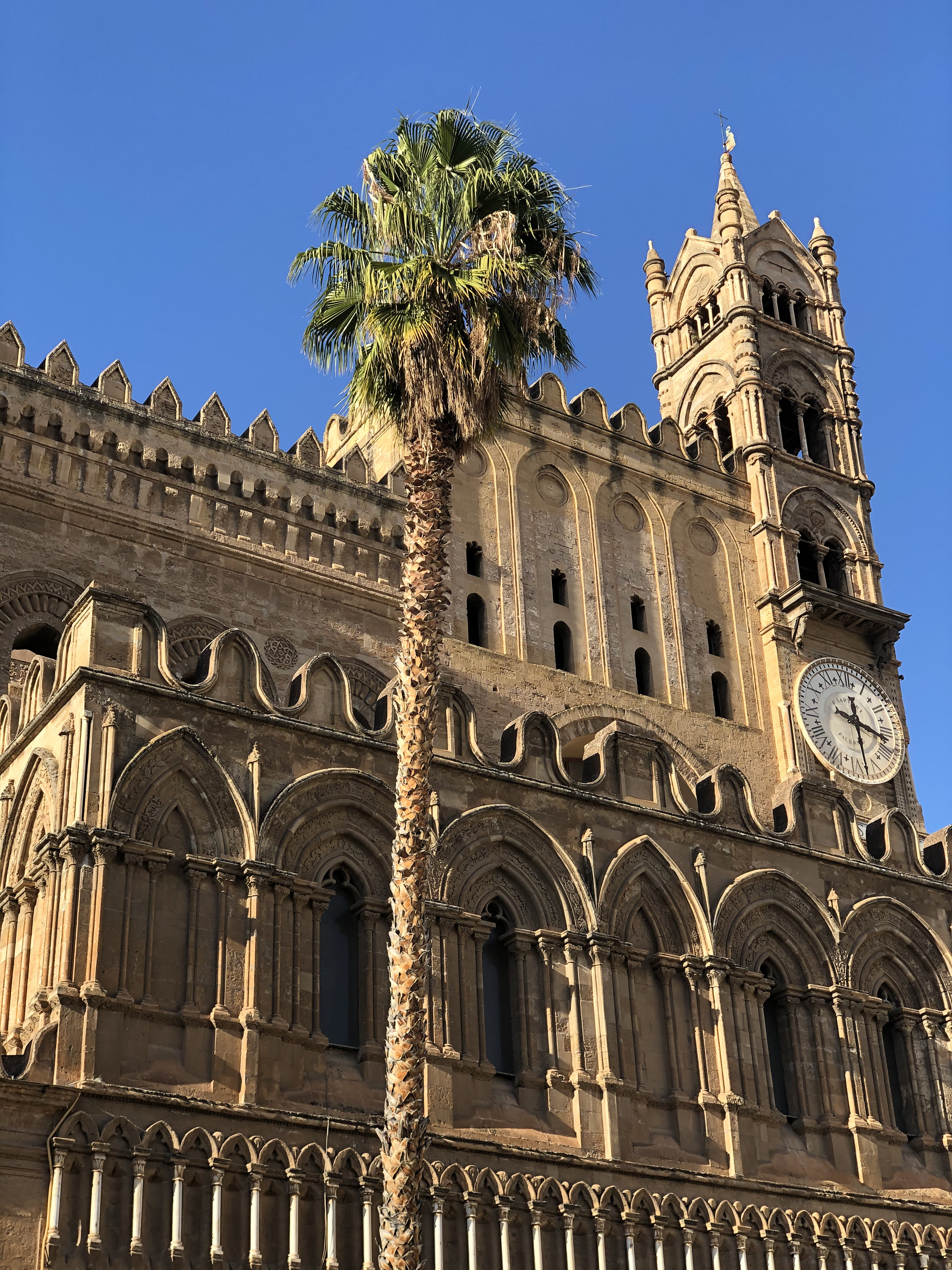 รูปถ่าย อิตาลี(Italy) ซิซิลี(Sicily) ปาแลร์โม(Palermo) 2020-02 16