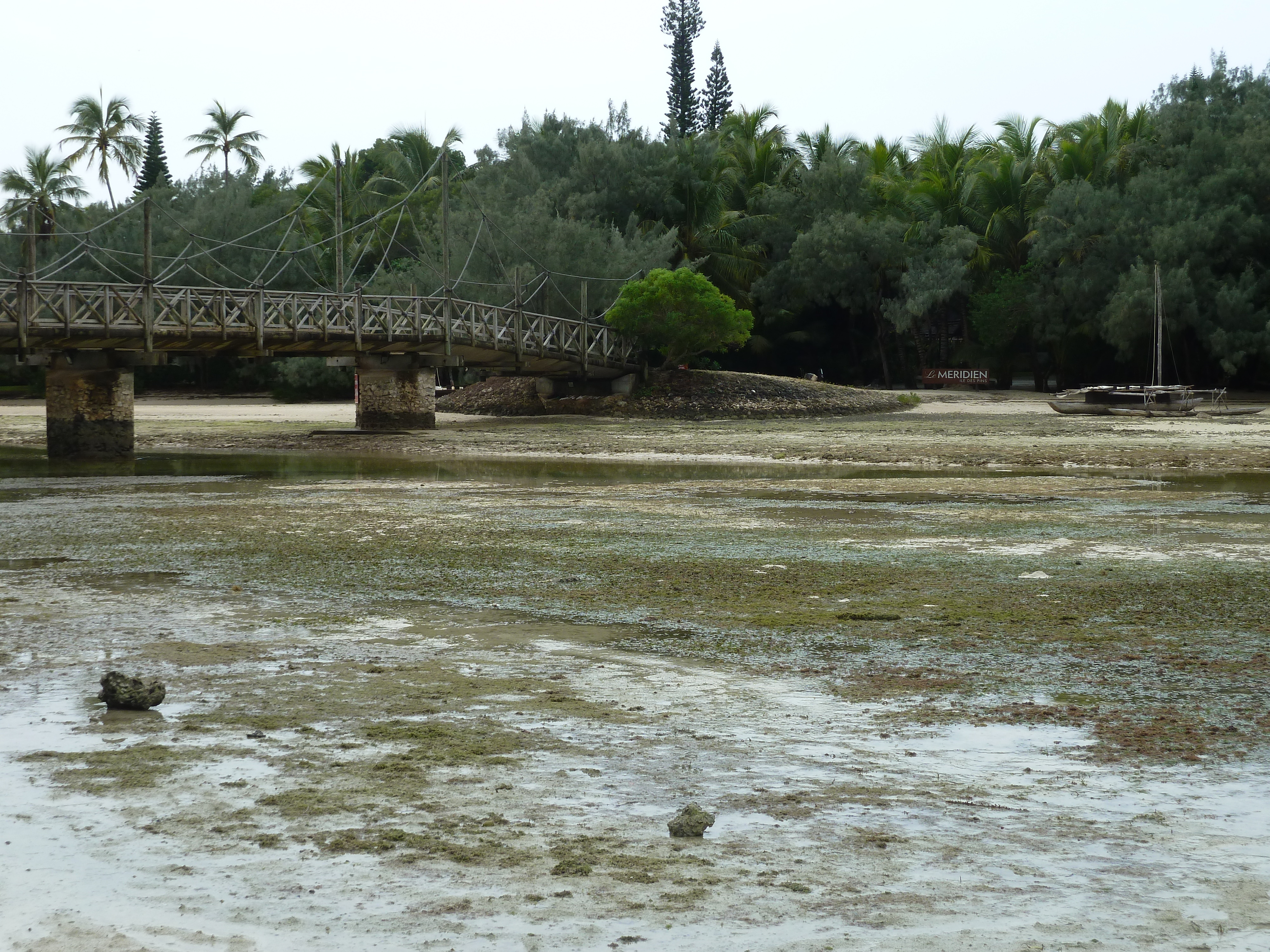 รูปถ่าย นิวแคลิโดเนีย(New Caledonia) เกาะต้นสน(Ile des pins) อ่าวโอโร(Oro Bay) 2010-05 72