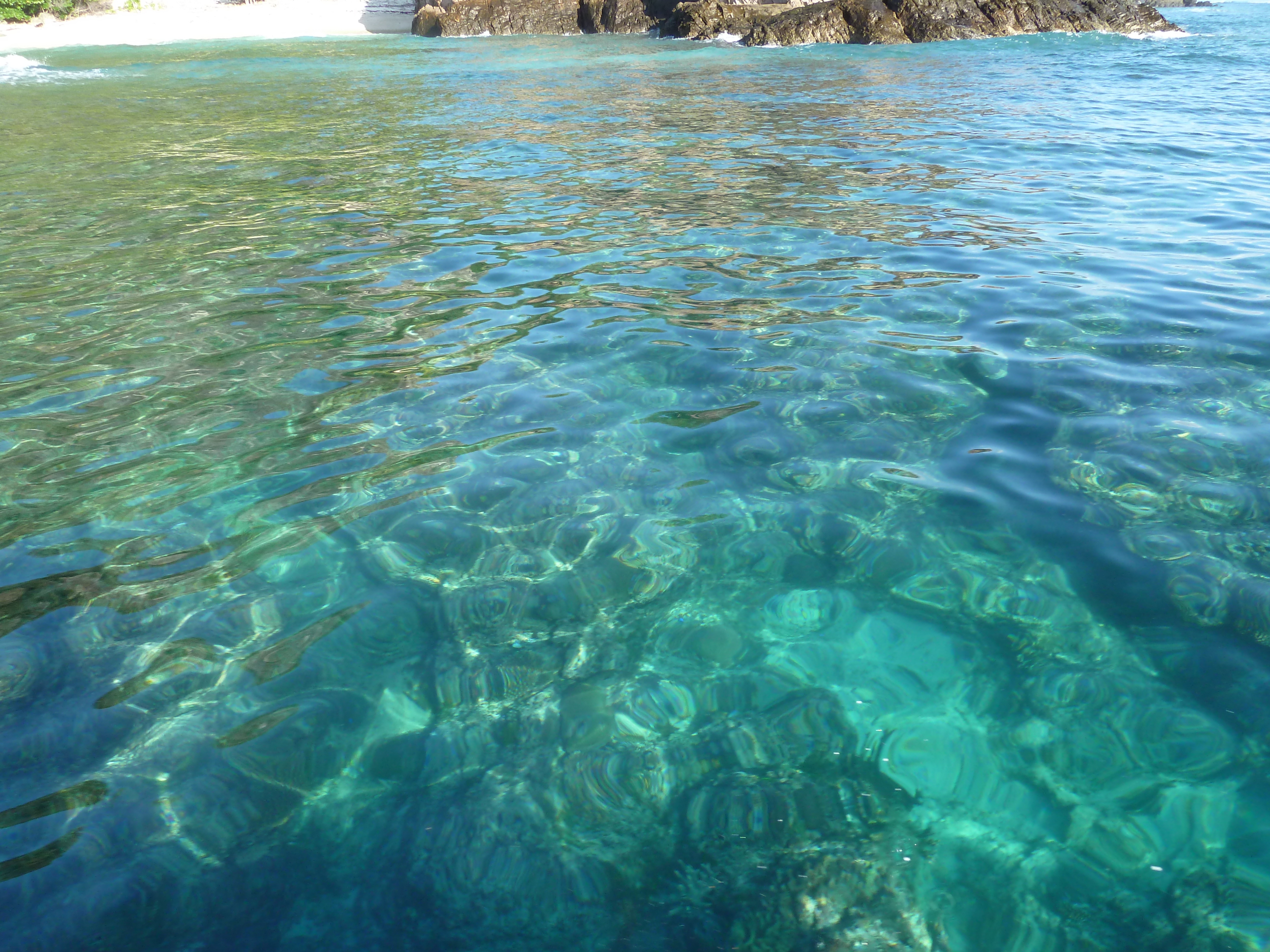 รูปถ่าย ฟิจิ(Fiji) เกาะแคสต์อะเวย์(Castaway Island) 2010-05 77