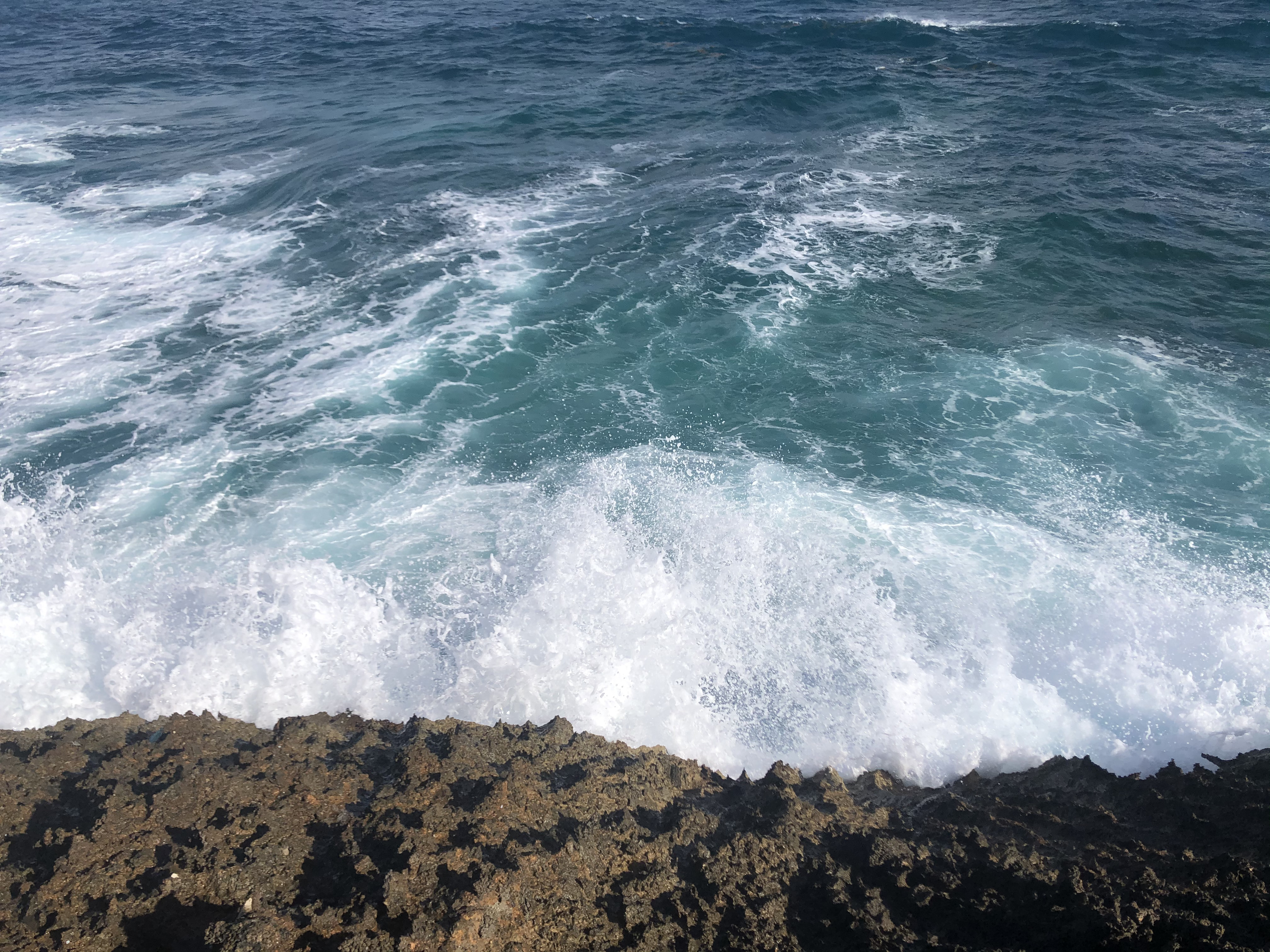 รูปถ่าย กวาเดอลูป(Guadeloupe) แหลมคาสเซิลพอยต์(Castle Point) 2021-02 143