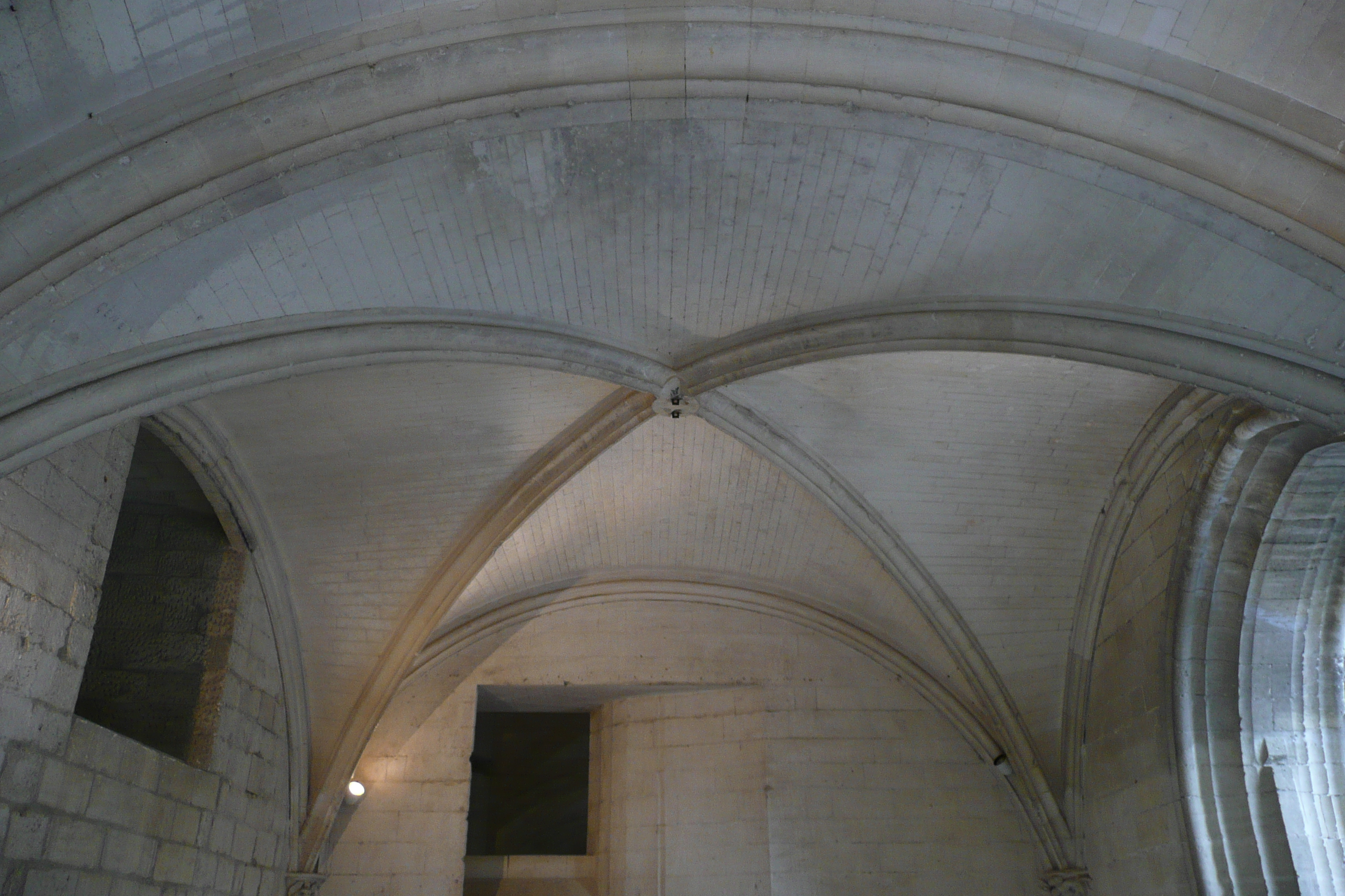 รูปถ่าย ฝรั่งเศส(France) ตาราสกง(Tarascon) ปราสาทตาราสกง(Tarascon Castle) 2008-04 169