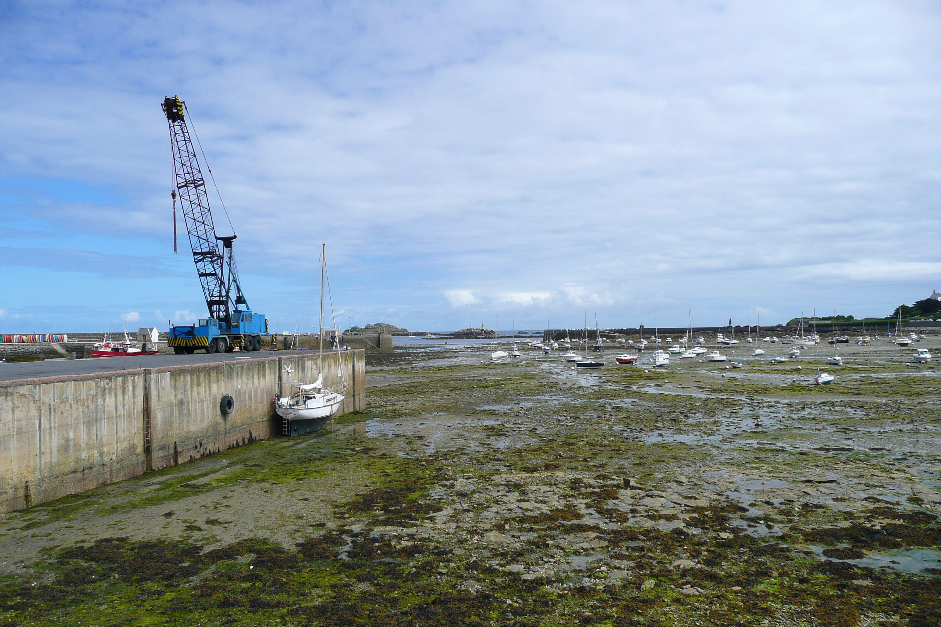 รูปถ่าย ฝรั่งเศส(France) โรสคอฟ(Roscoff) 2007-08 56