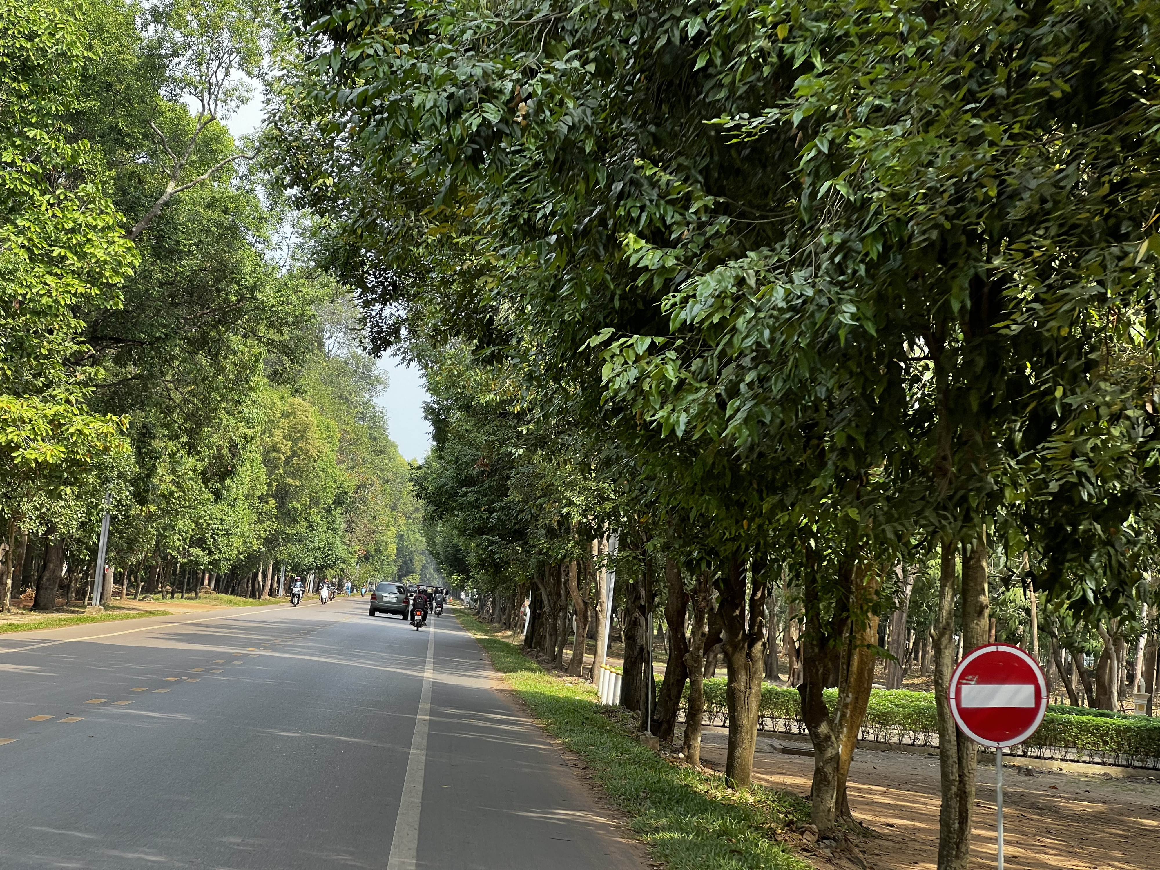 รูปถ่าย กัมพูชา(Cambodia) เสียมราฐ(Siem Reap) 2023-01 107