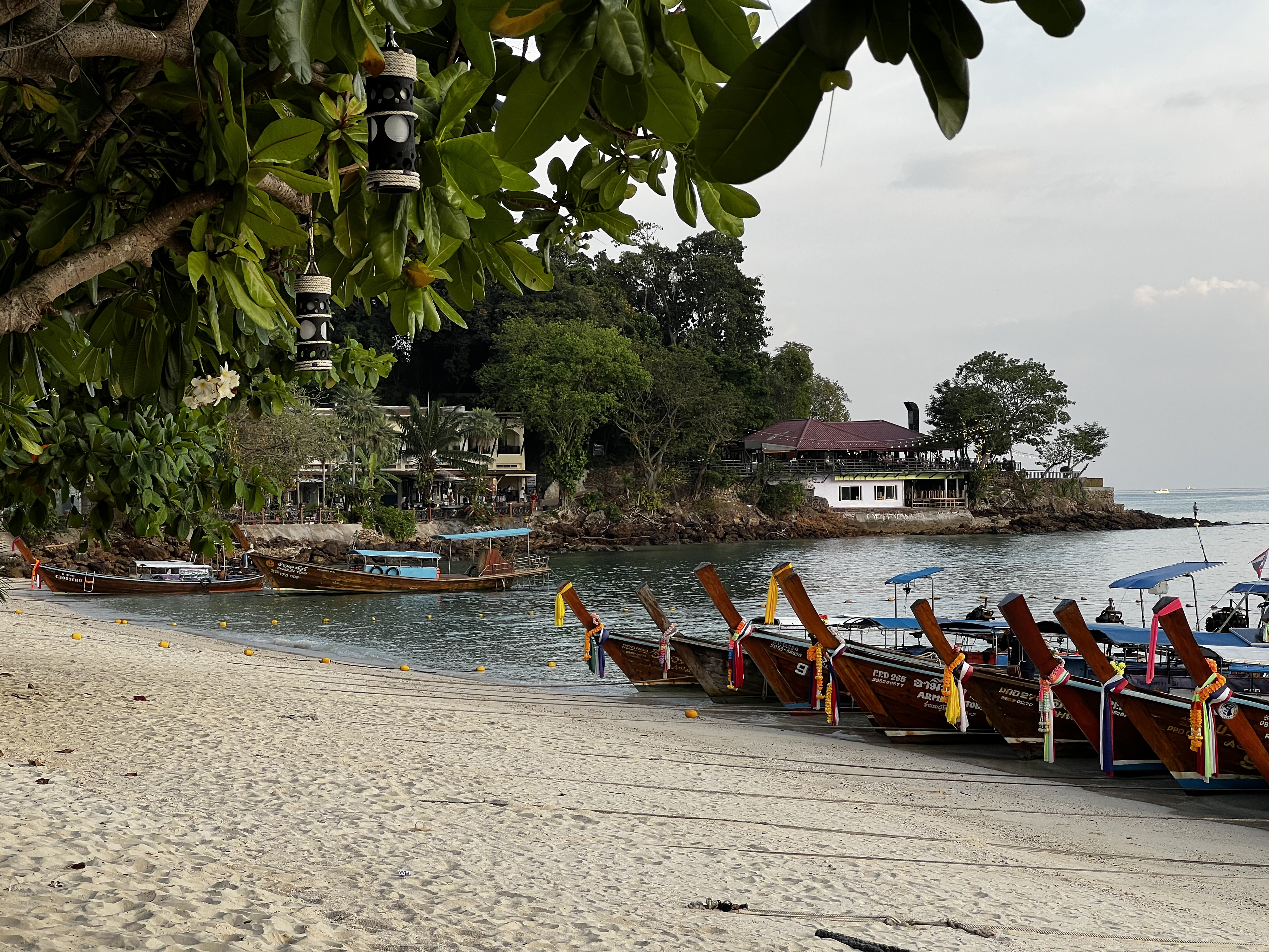 รูปถ่าย ไทย(Thailand) เกาะพีพีดอน(Ko Phi Phi Don) 2021-12 114