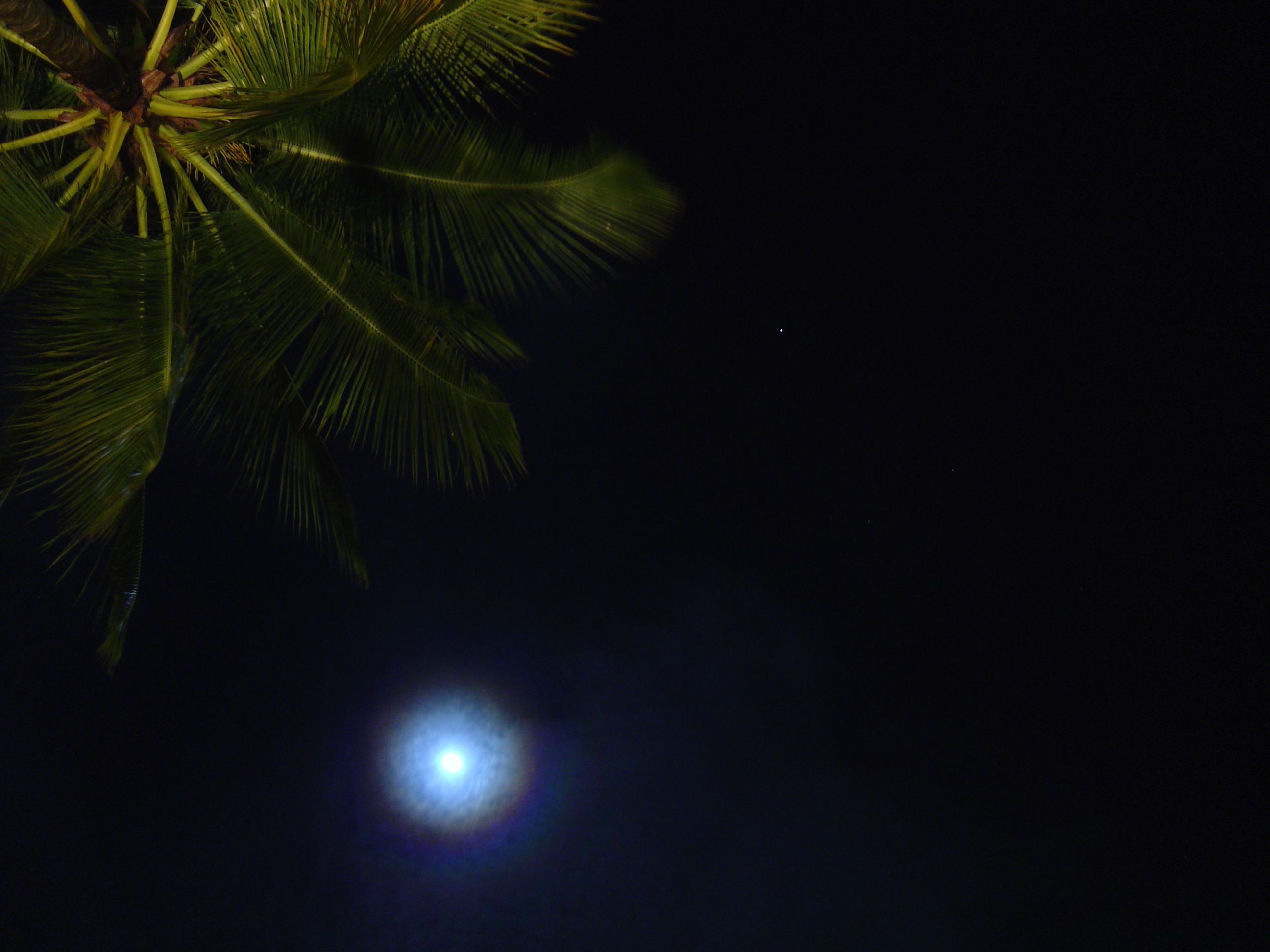 รูปถ่าย ไทย(Thailand) เขาหลัก(Khao Lak) โรงแรมเลอเมอริเดียน เขาหลัก(Meridien Khao Lak Hotel) 2005-12 341